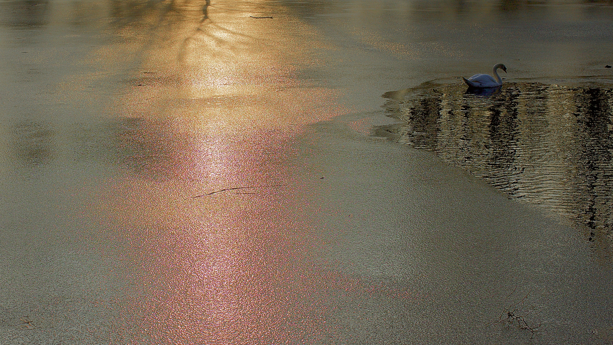 Canon EOS-1Ds Mark III sample photo. Sunset photography
