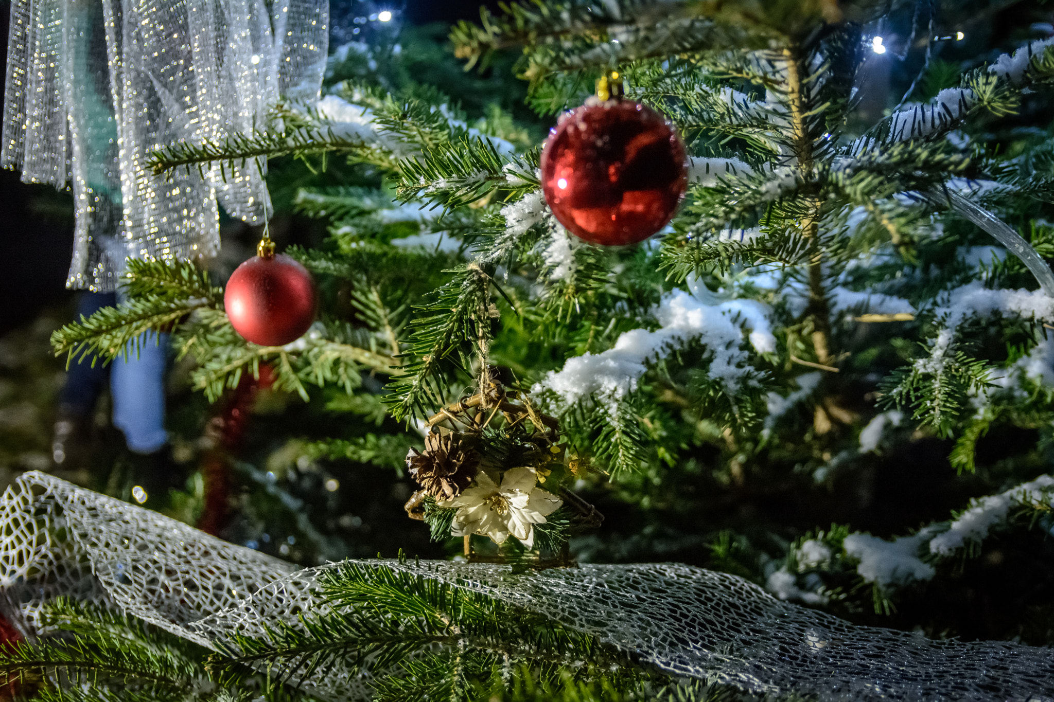 Sigma 18-50mm F2.8 EX DC Macro sample photo. Christmas photography