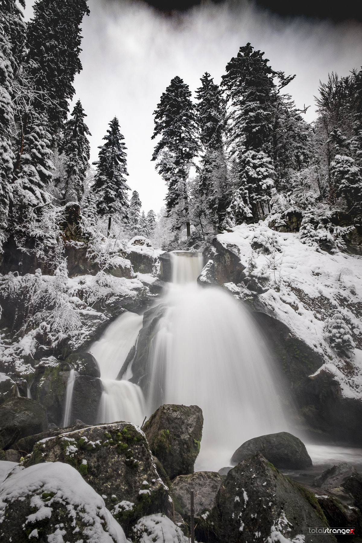 Fujifilm X-T10 + Fujifilm XF 14mm F2.8 R sample photo. Triberg cascades photography