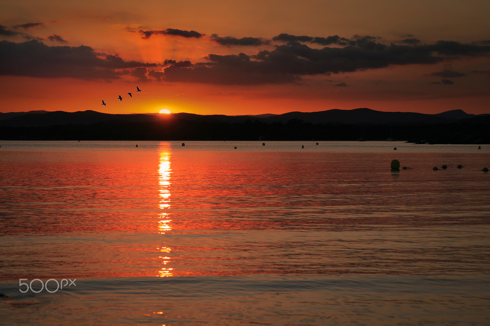 Canon 24.0-70.0 mm sample photo. Birds and sunset photography
