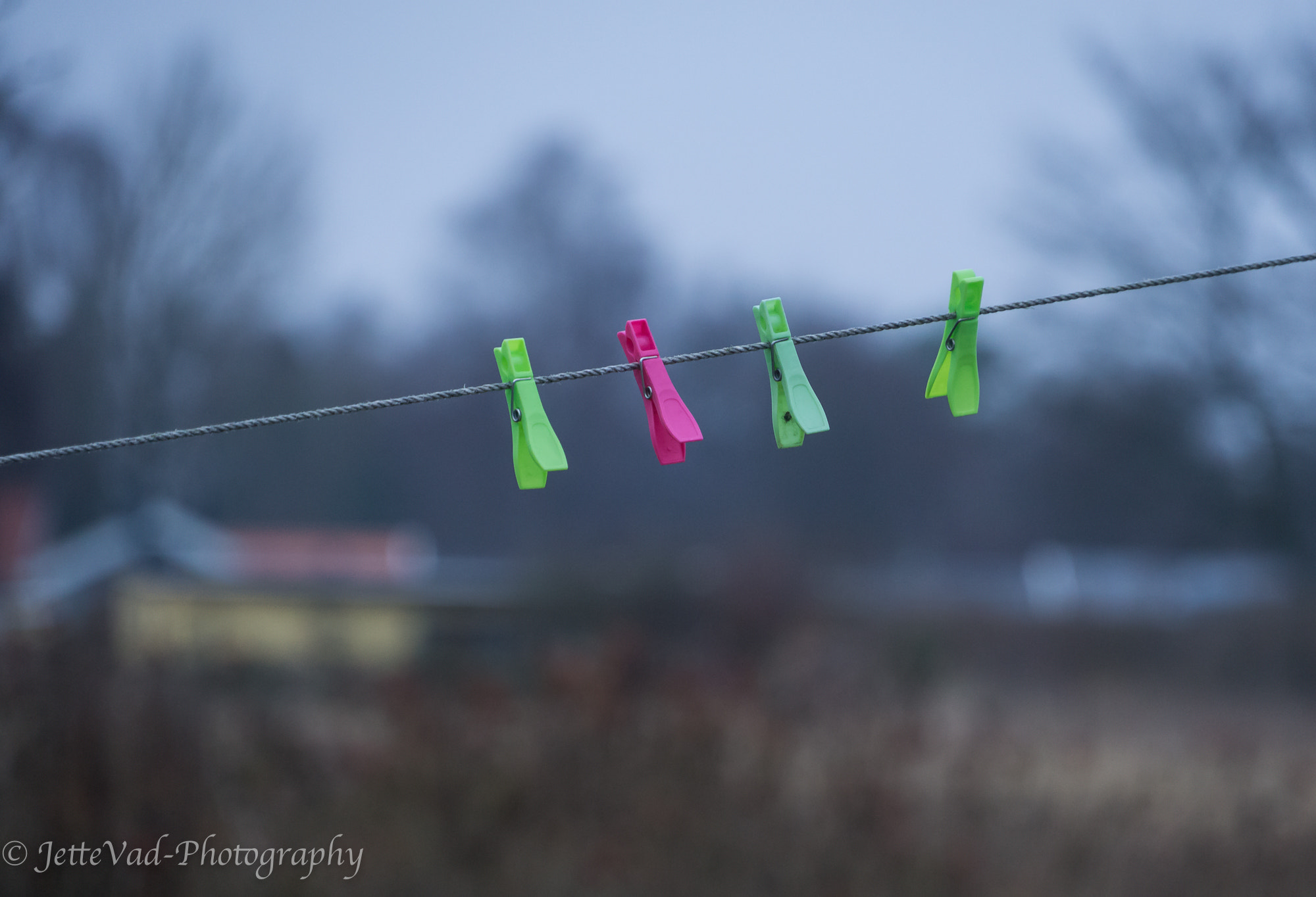 Sony E 18-200mm F3.5-6.3 OSS sample photo. Clothesline photography