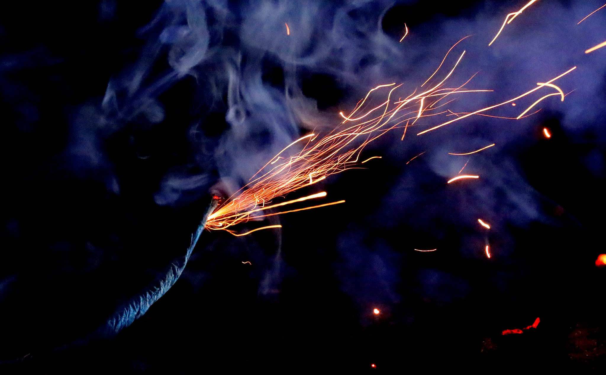 Canon EF 100mm F2.8L Macro IS USM sample photo. Fire-spitting dragon photography