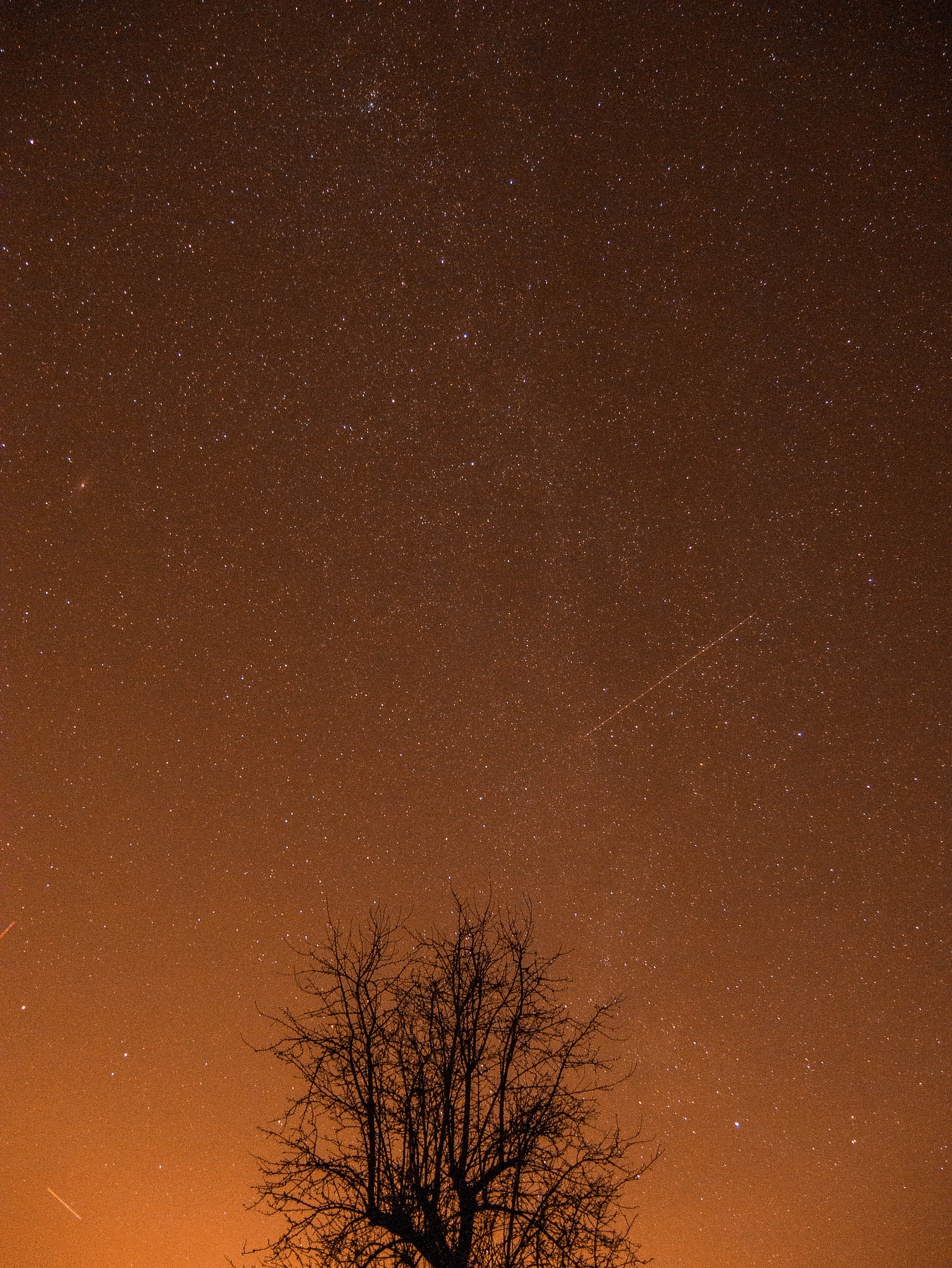 Panasonic DMC-G70 sample photo. Lonely tree photography