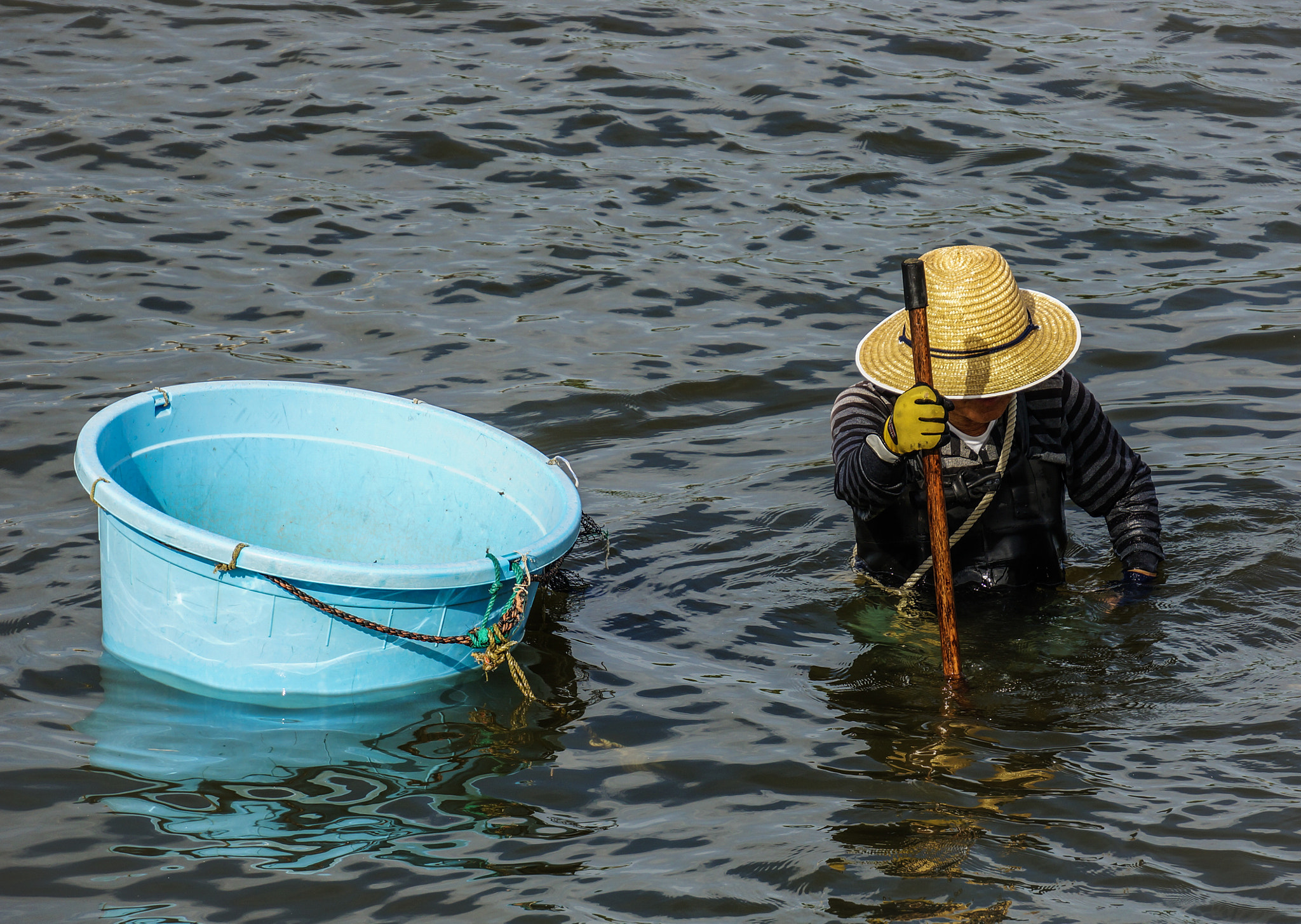 Sony Alpha NEX-6 + Sony E 55-210mm F4.5-6.3 OSS sample photo. Fishing toyohashi river japan photography