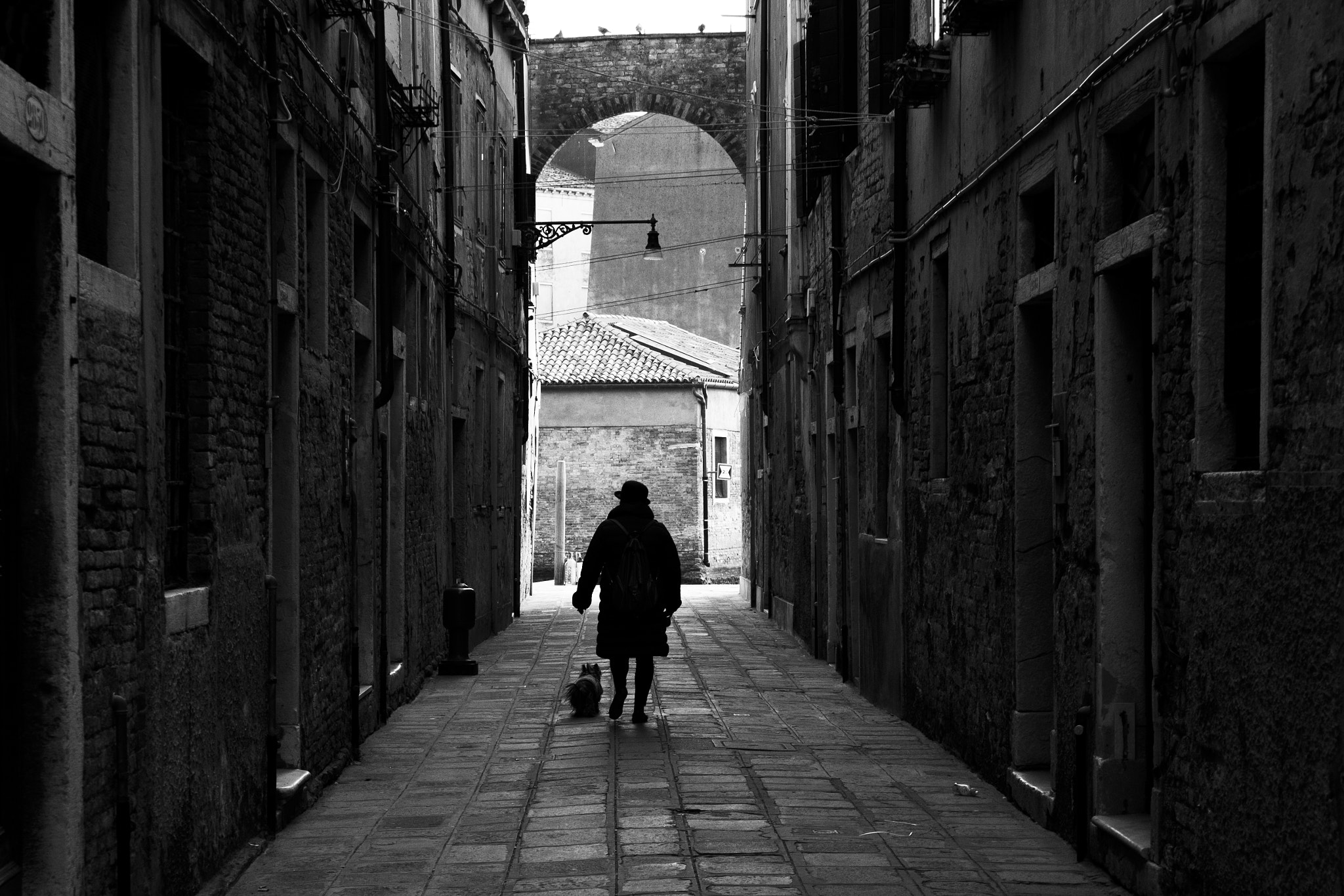 Fujifilm XC 16-50mm F3.5-5.6 OIS II sample photo. A passeggio con il cane, venezia, 2017 photography