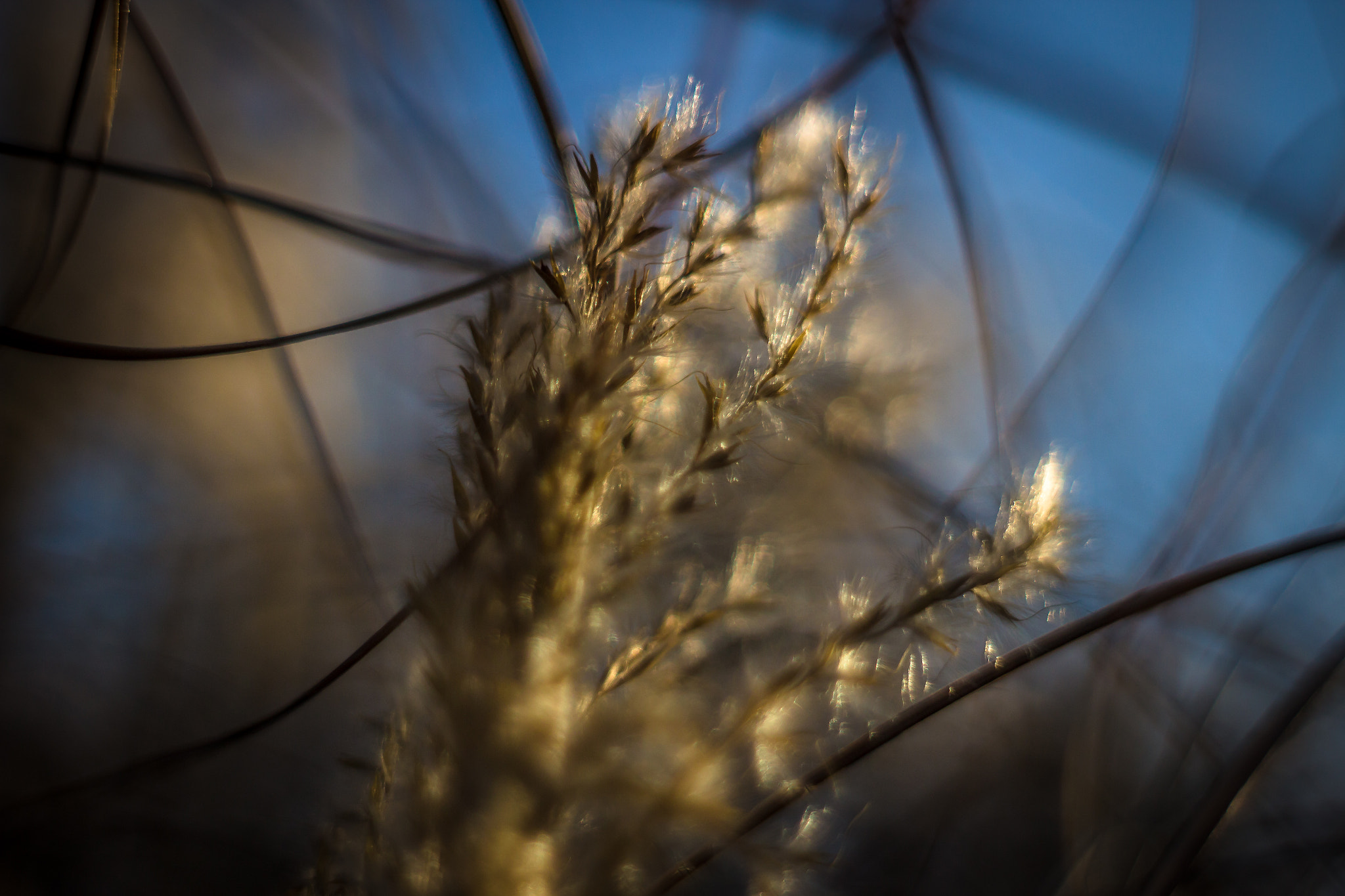 Canon EF 35-80mm f/4-5.6 sample photo. Morning sun photography