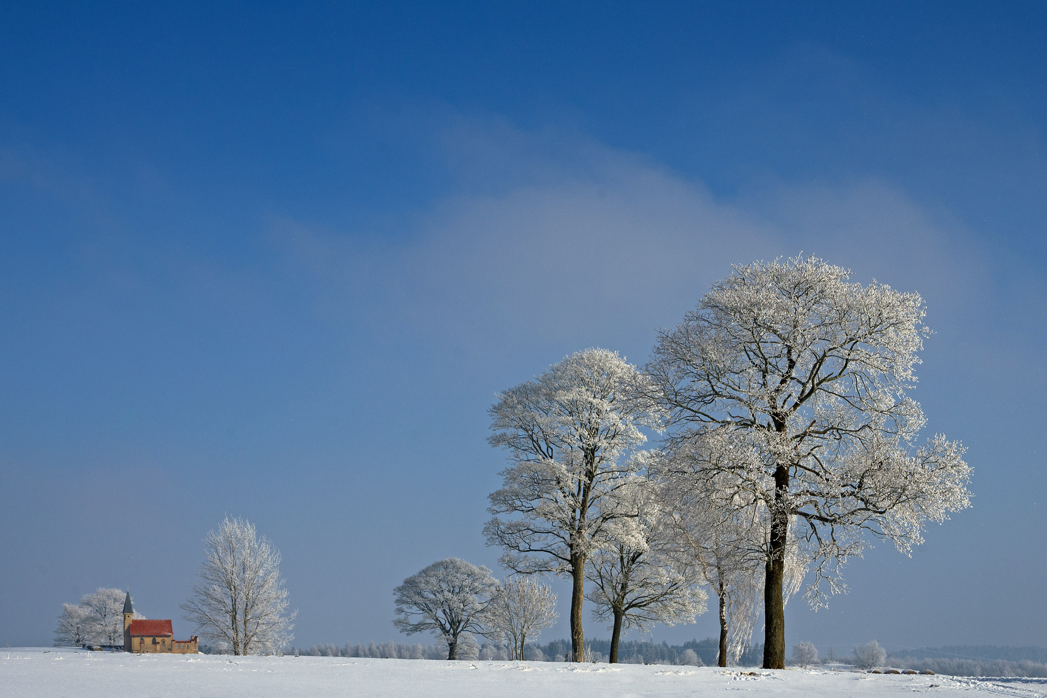 Pentax K-5 sample photo. Rauhreif photography