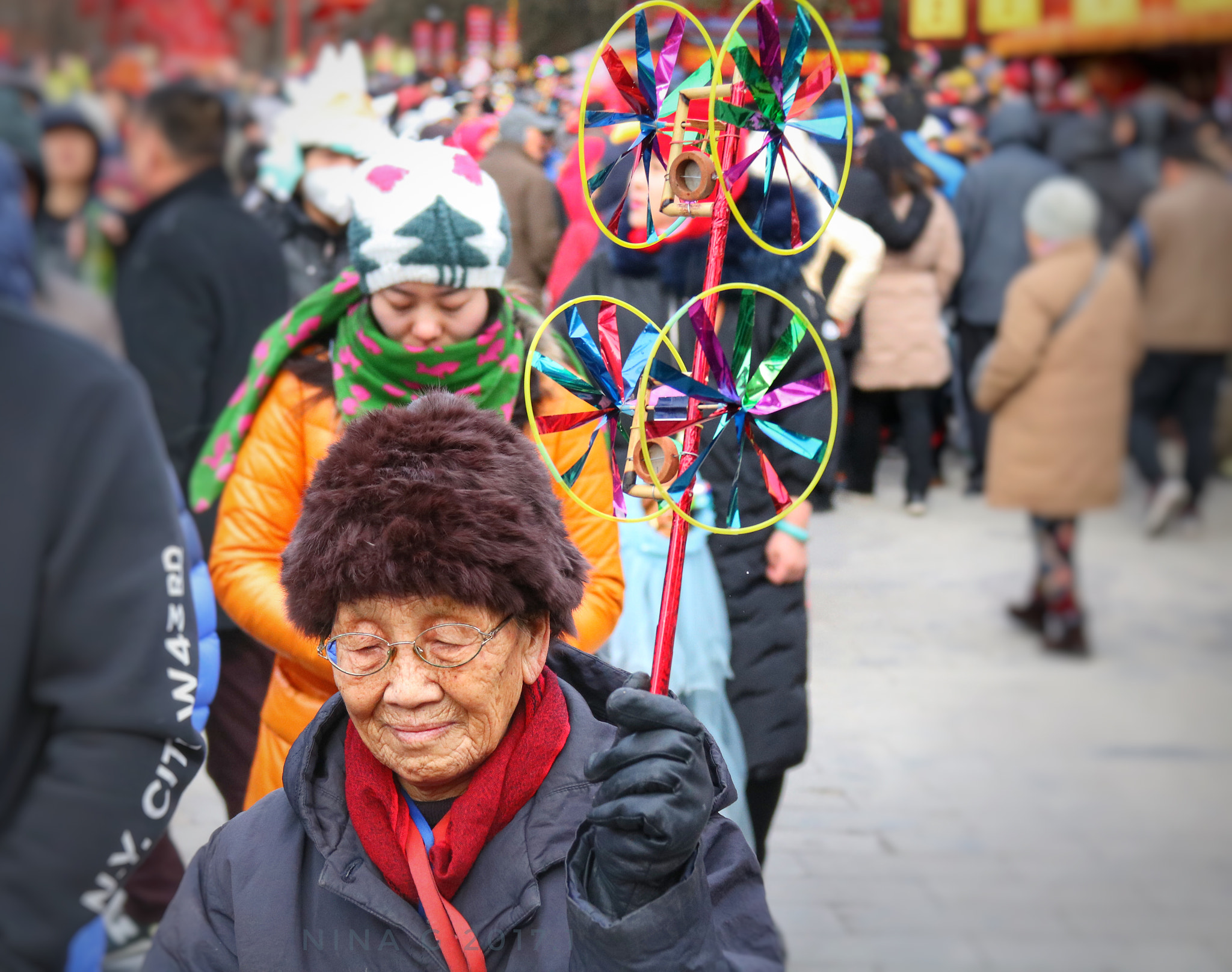 Canon EOS 750D (EOS Rebel T6i / EOS Kiss X8i) sample photo. Ditan fair in beijing, china photography