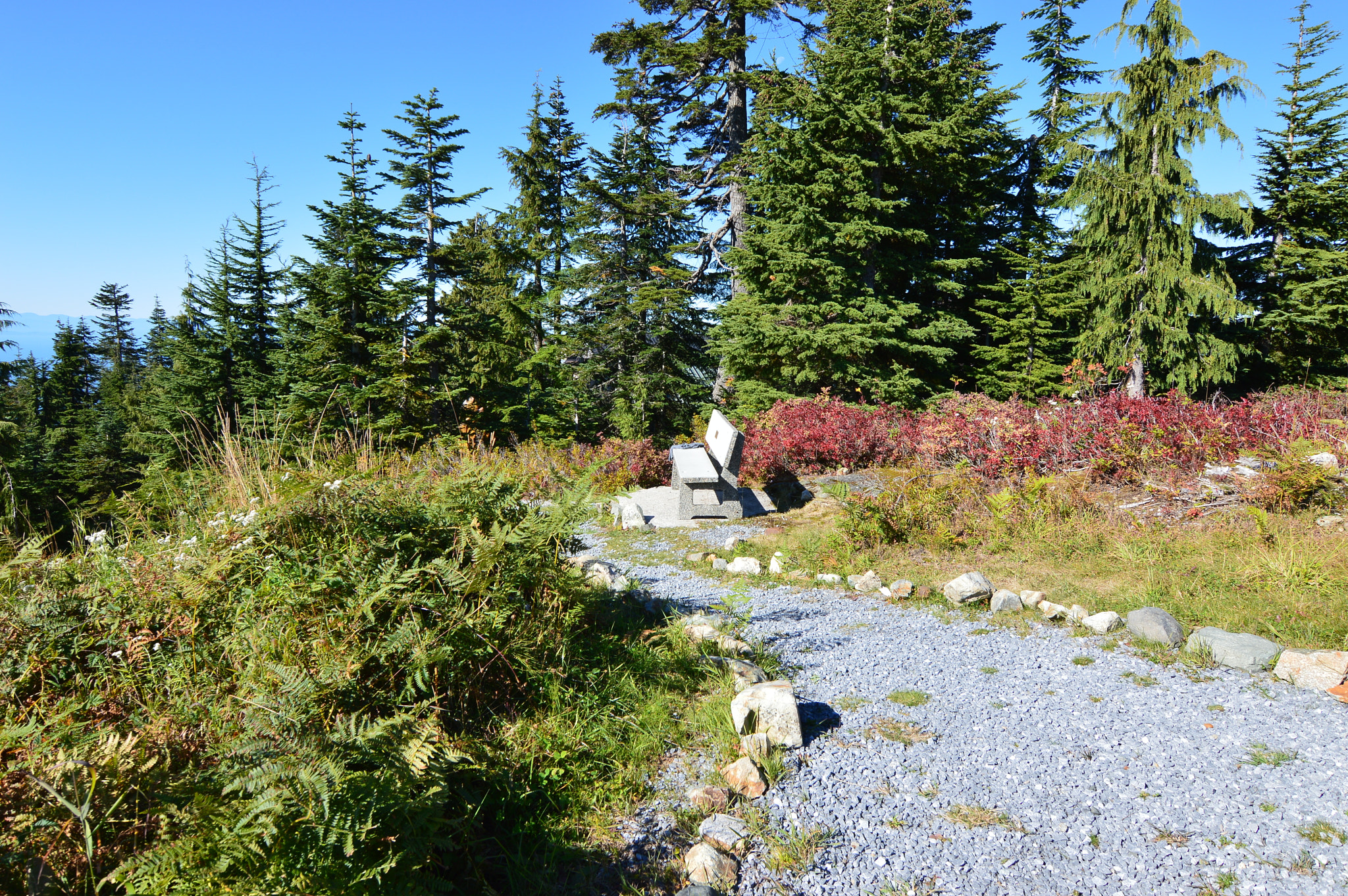 Nikon D3200 sample photo. Vancouvernikon photography