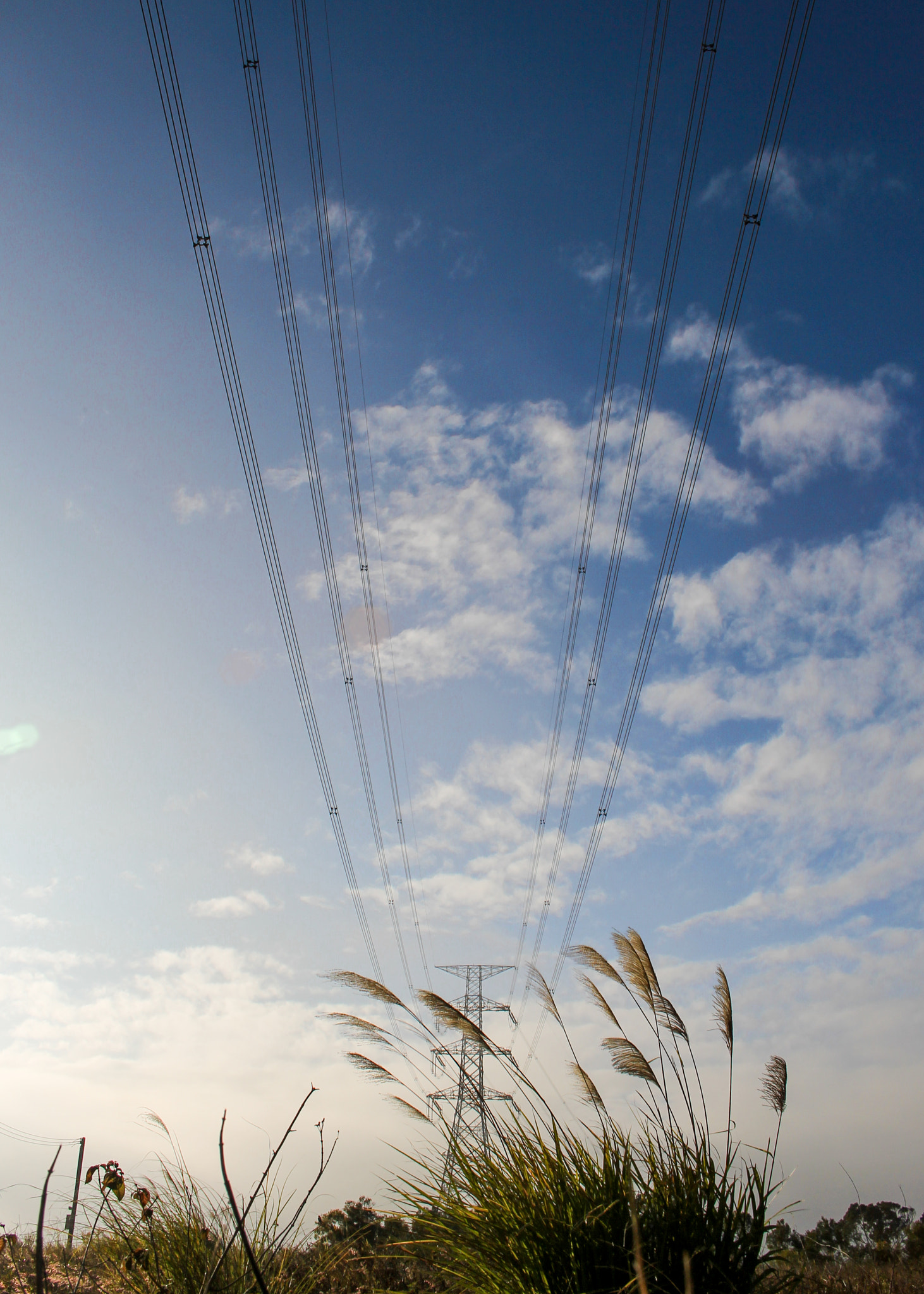 Canon EF-S 18-55mm F3.5-5.6 II sample photo. 臺中，都會園路 photography