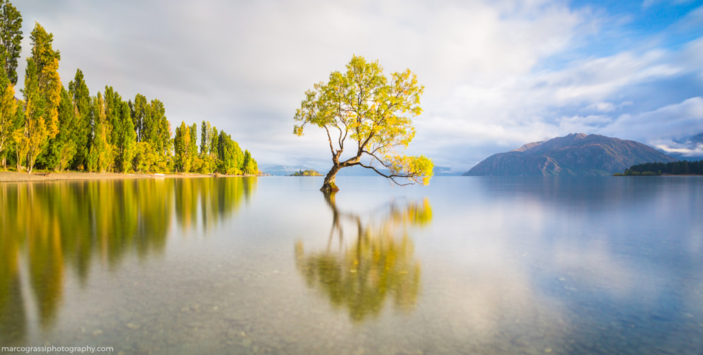 The Lone Tree by Marco Grassi on 500px.com