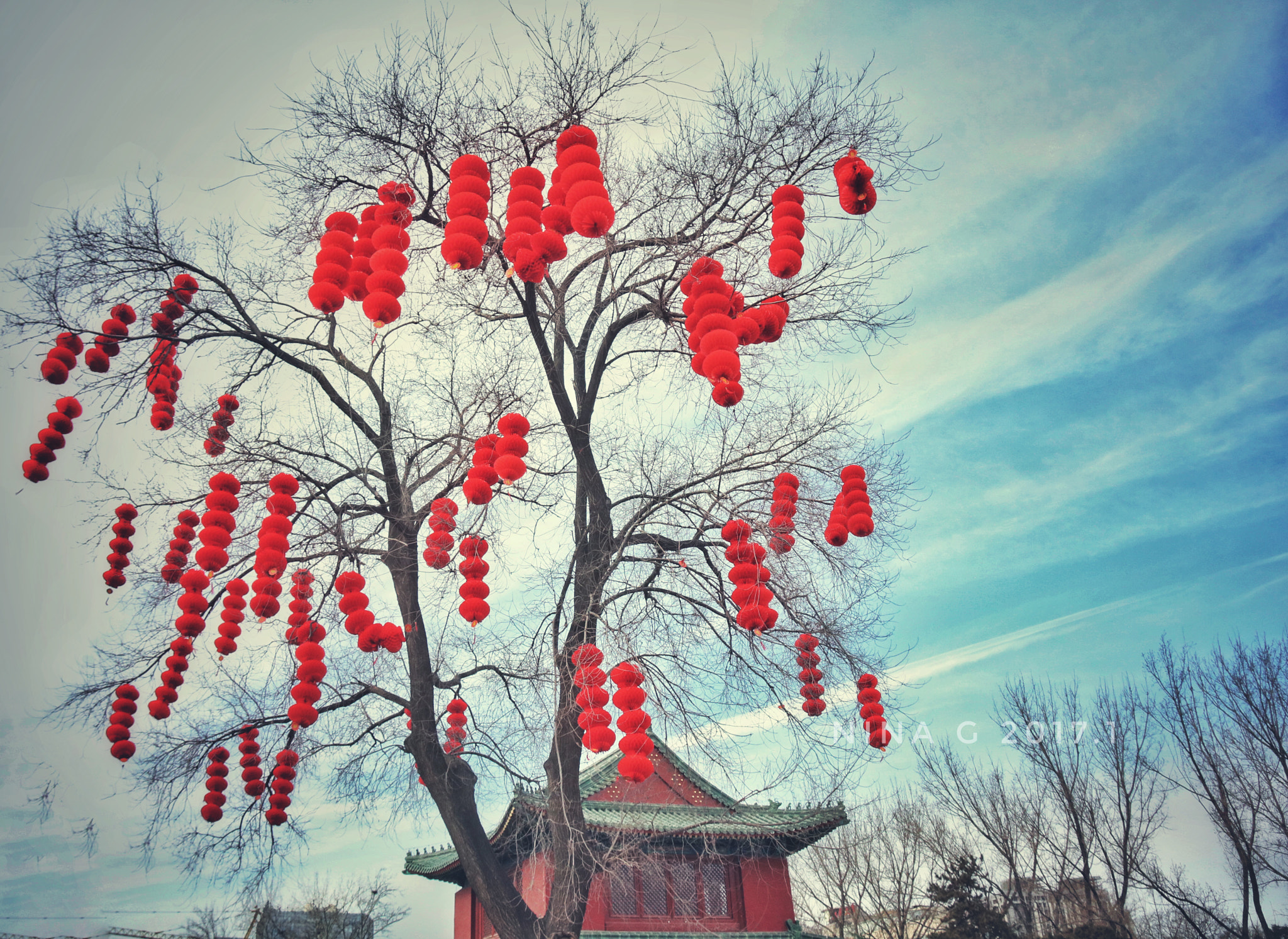 Canon EOS 750D (EOS Rebel T6i / EOS Kiss X8i) sample photo. Ditan park, beijing, china photography