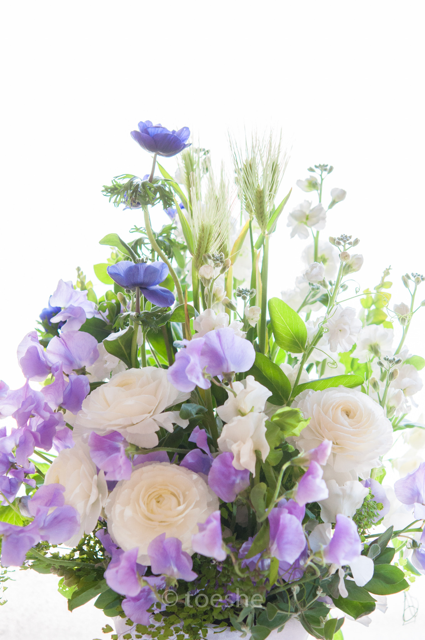 Nikon AF-S Micro-Nikkor 60mm F2.8G ED sample photo. Flowers photography