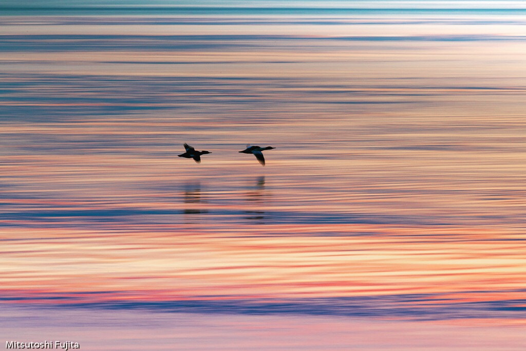 Canon EF 600mm F4L IS II USM sample photo. Sea with color photography