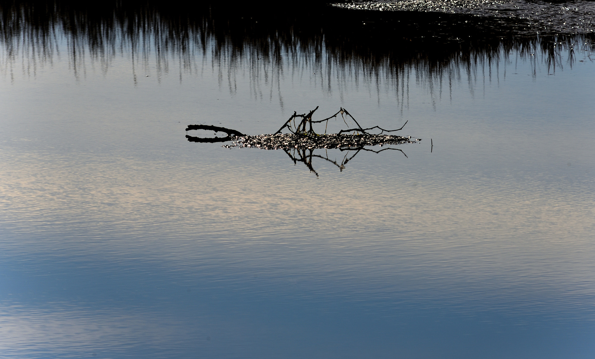 Nikon D750 + Sigma 70-200mm F2.8 EX DG Macro HSM II sample photo. L'isola che non c'è photography