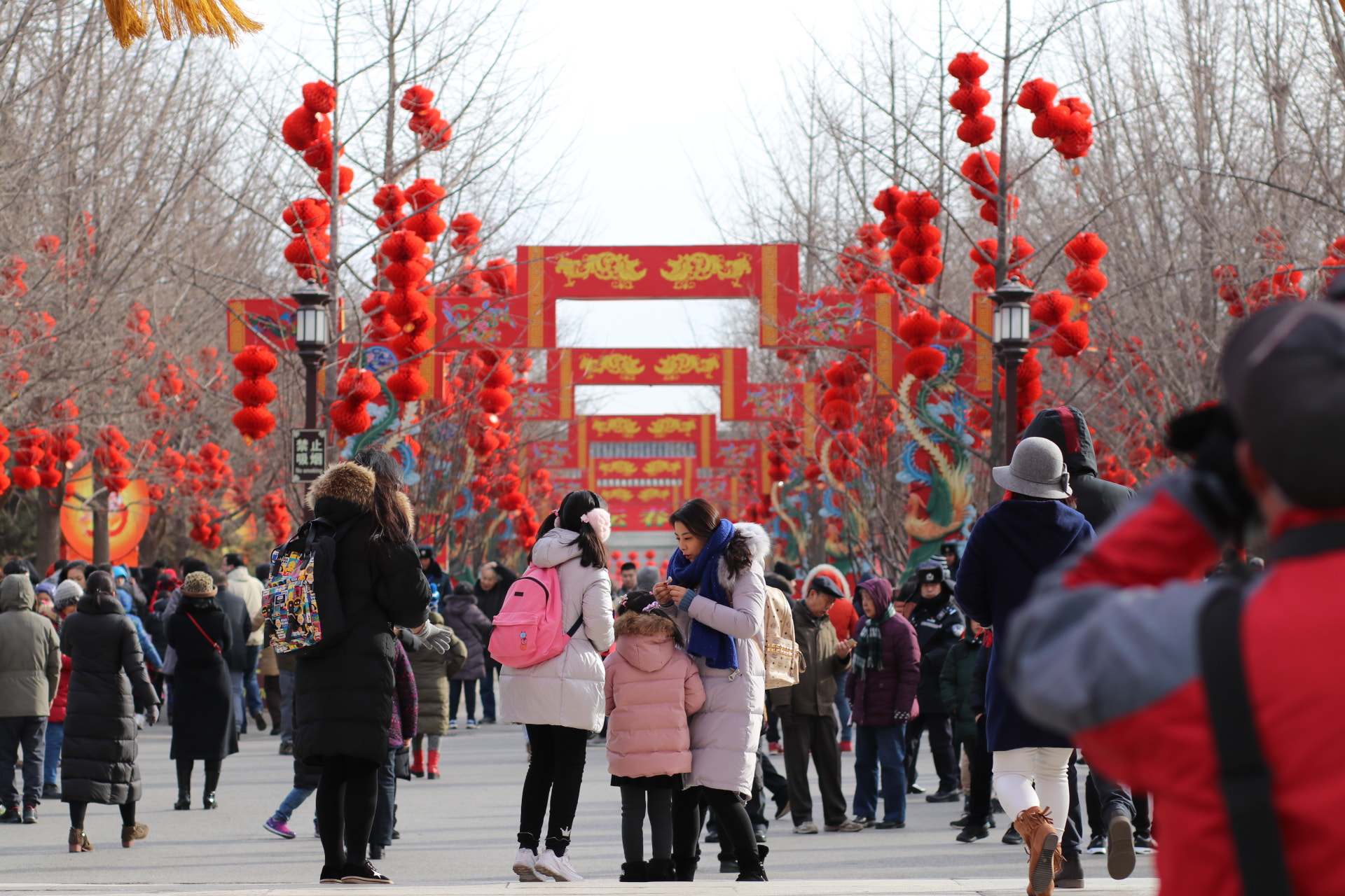 Canon EOS 80D + Canon EF 85mm F1.8 USM sample photo. China new year, mother and daughter, daughter went to beijing ditan temple fair. photography