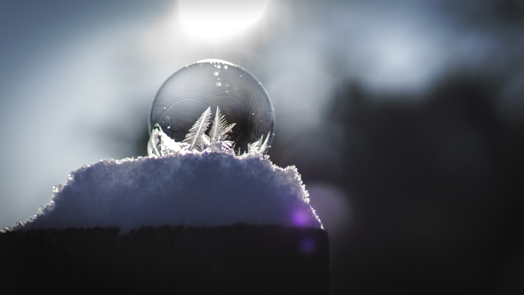 Sony a7 II + Sony DT 50mm F1.8 SAM sample photo. Frozen soapbubble photography