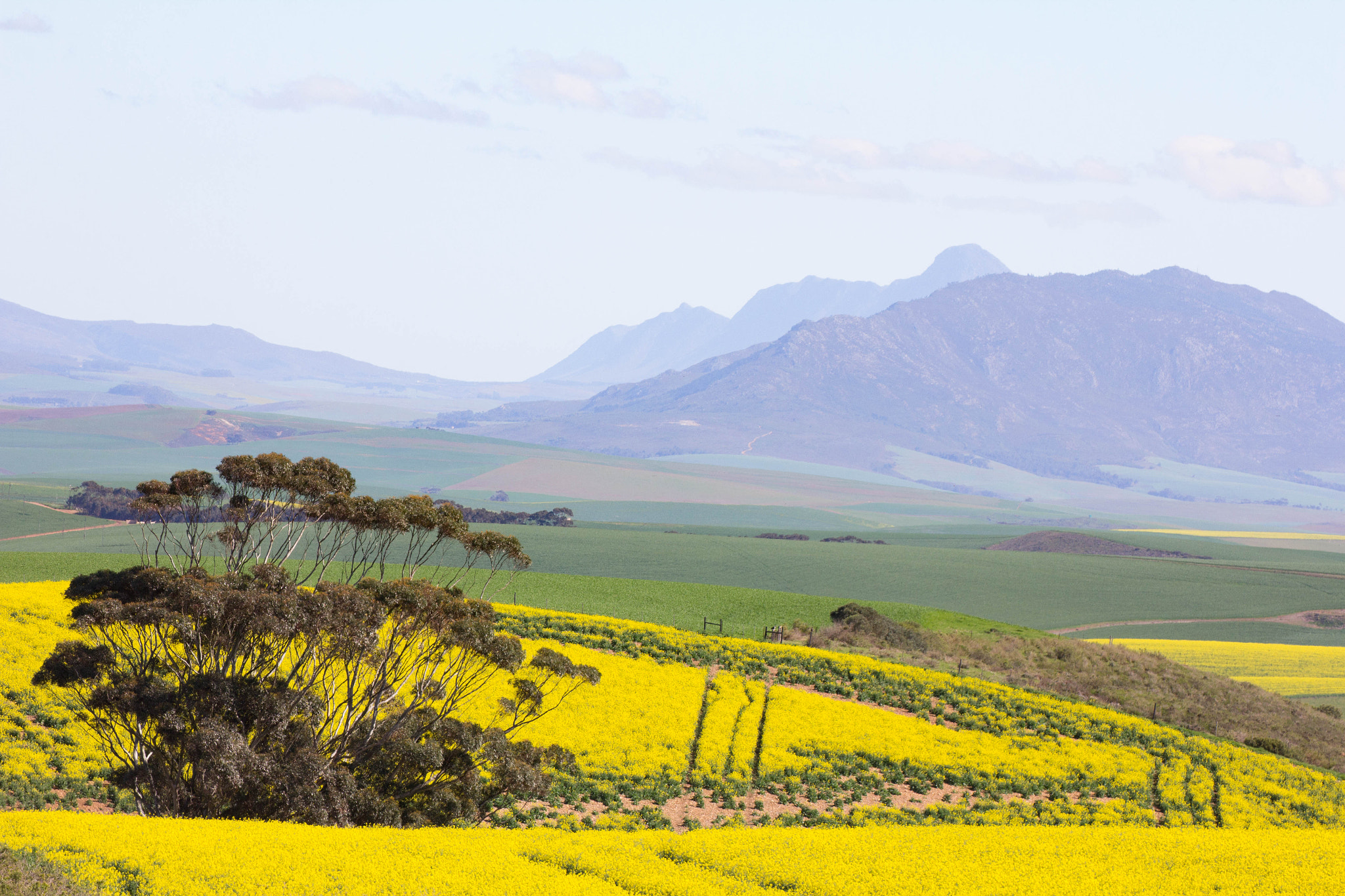Canon EOS 60D sample photo. South african landscape photography