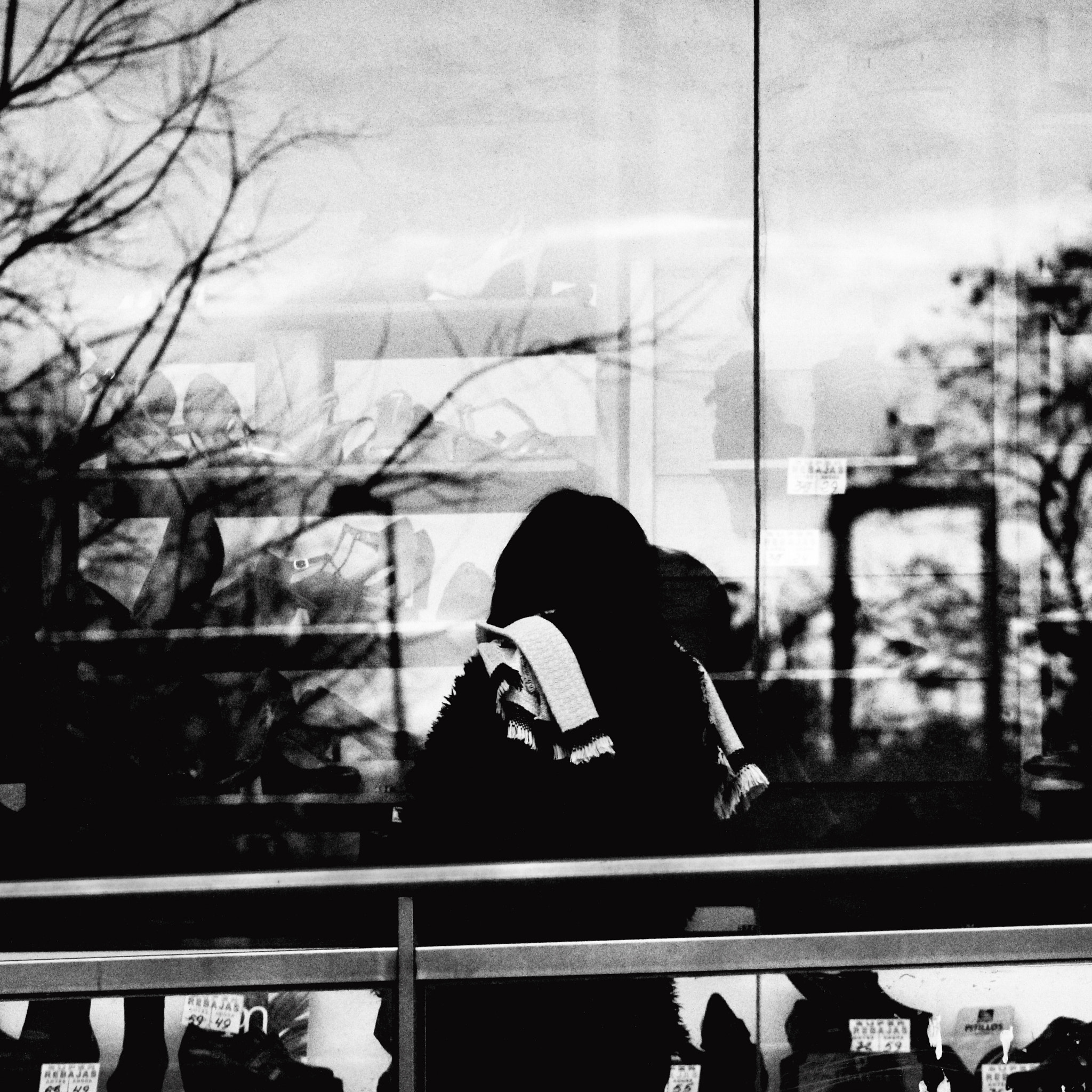 Canon EOS 1300D (EOS Rebel T6 / EOS Kiss X80) + EF75-300mm f/4-5.6 sample photo. El reflejo.  photography