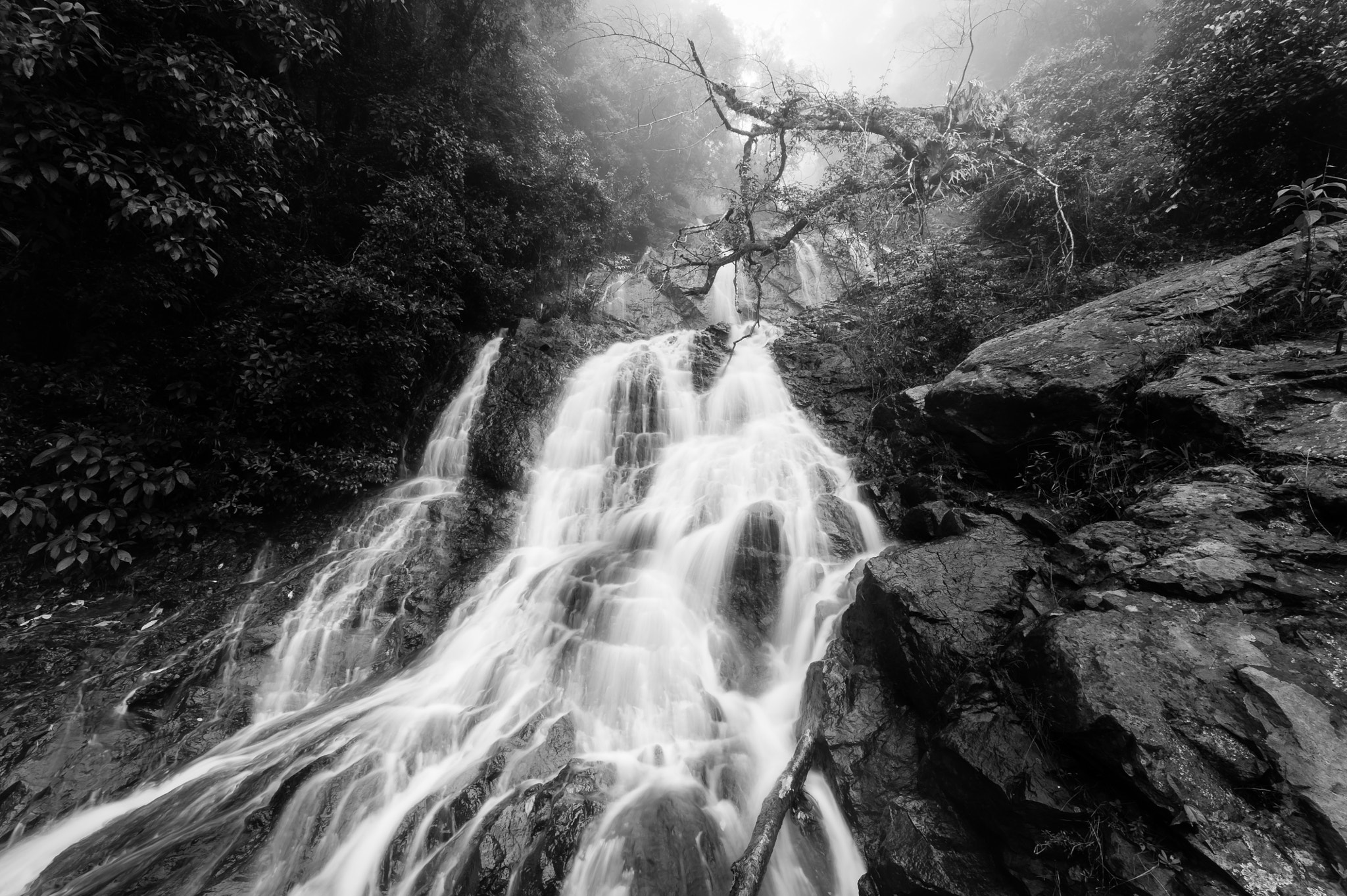Samyang 14mm F2.8 ED AS IF UMC sample photo. Roadside beauty photography