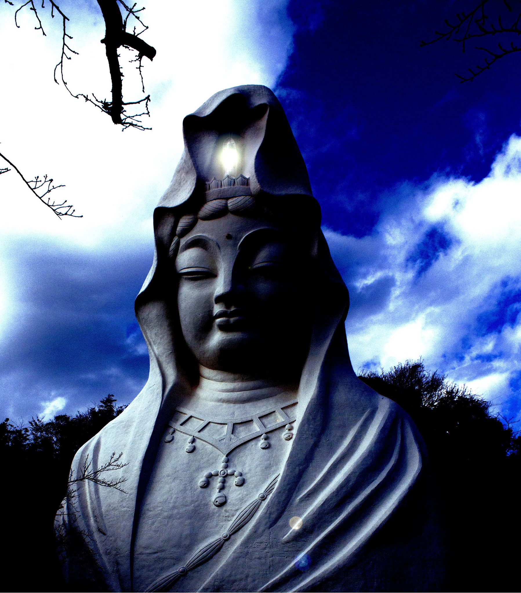 Canon EOS 50D sample photo