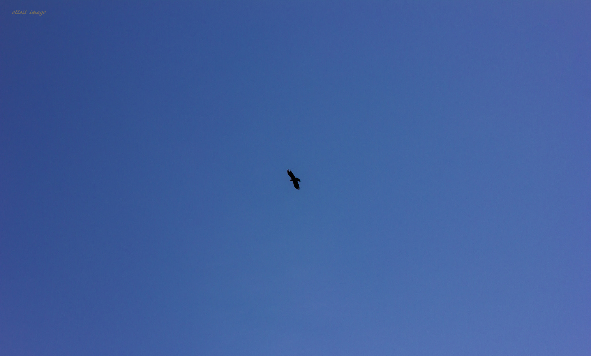 Canon TS-E 90mm F2.8 Tilt-Shift sample photo. 飞 photography
