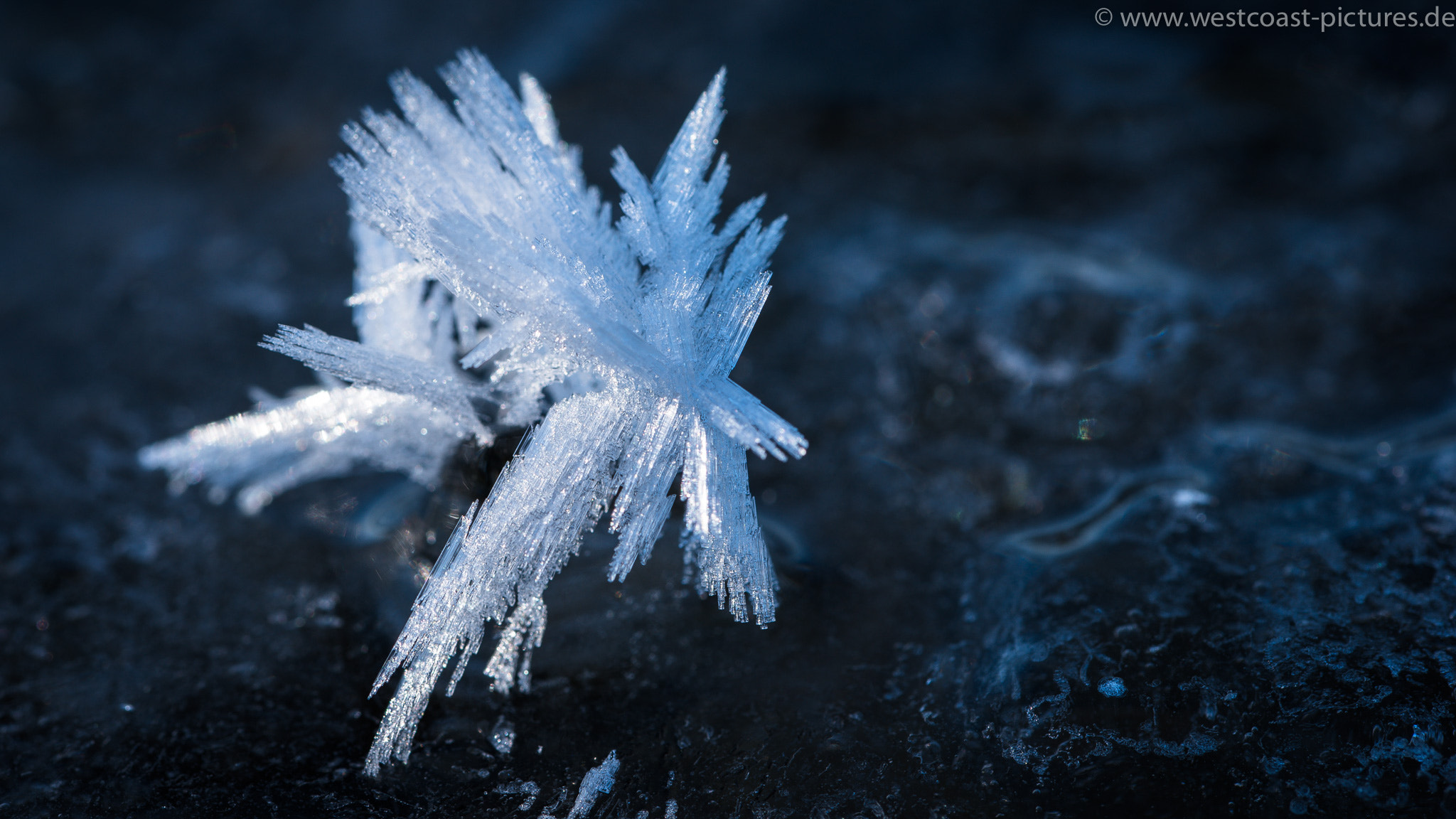 Sigma 105mm F2.8 EX DG OS HSM sample photo. Eiswelten photography