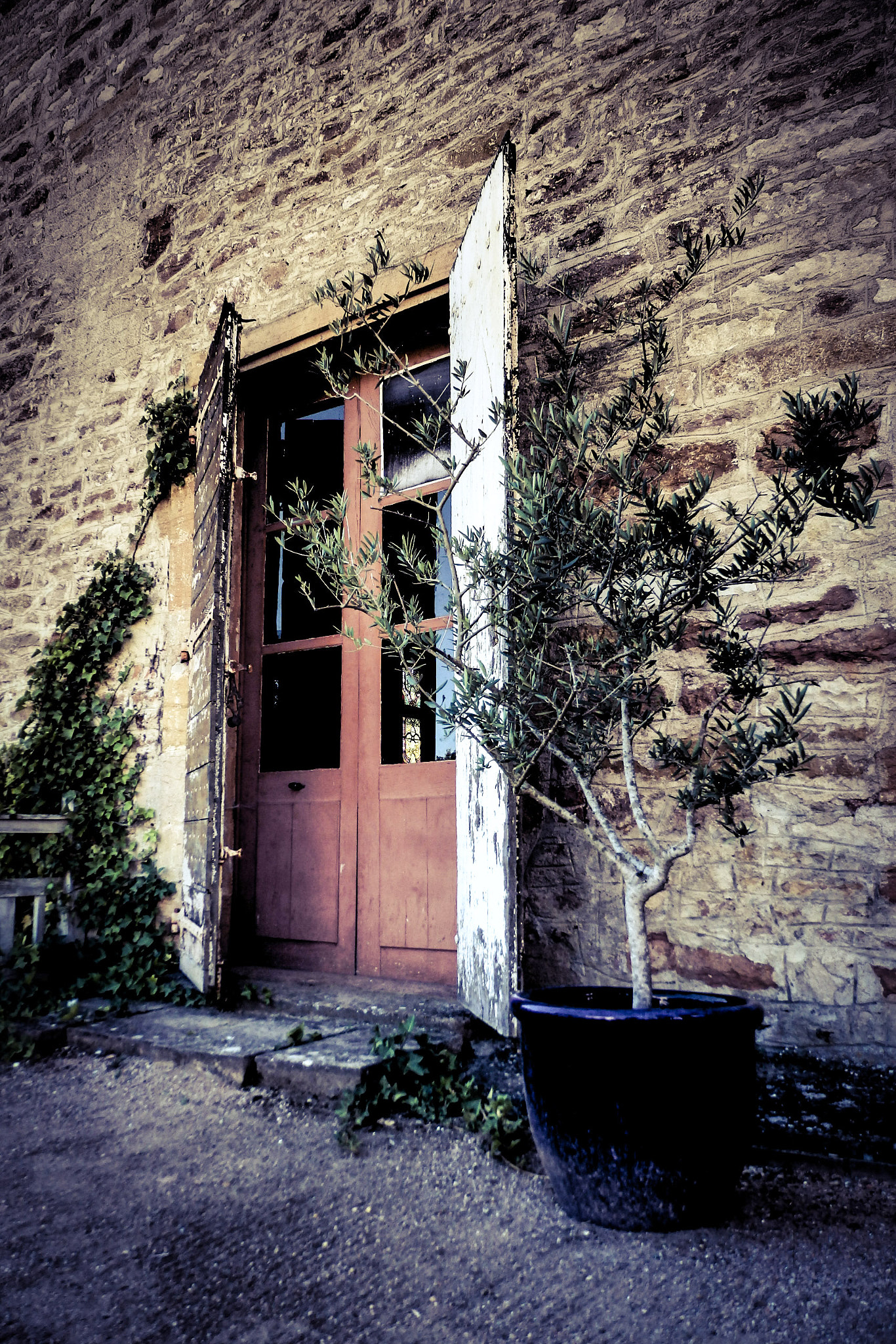 Olympus SZ-31MR sample photo. Doors and olive photography
