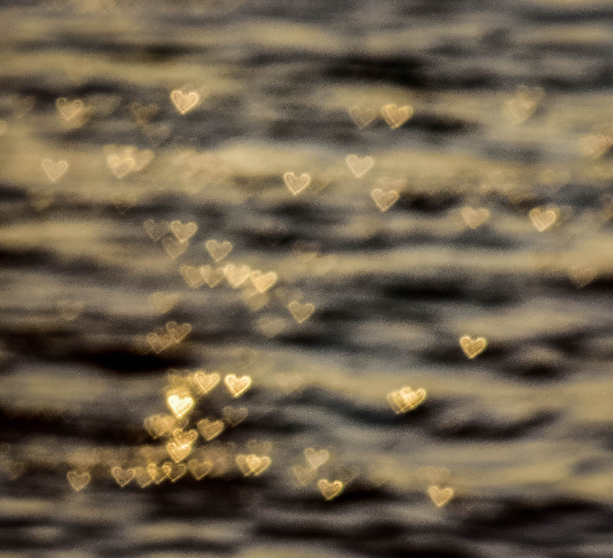 Nikon D810 sample photo