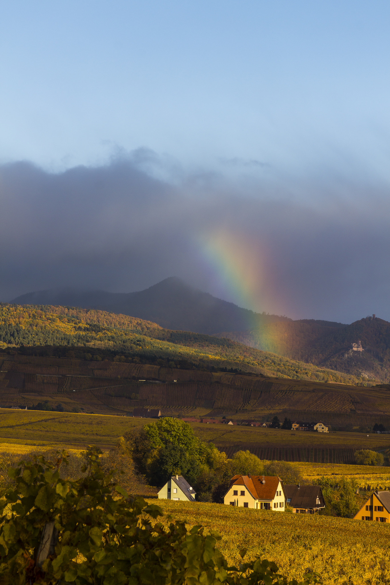 EF28-70mm f/2.8L USM sample photo. Rainbow over wineyards photography