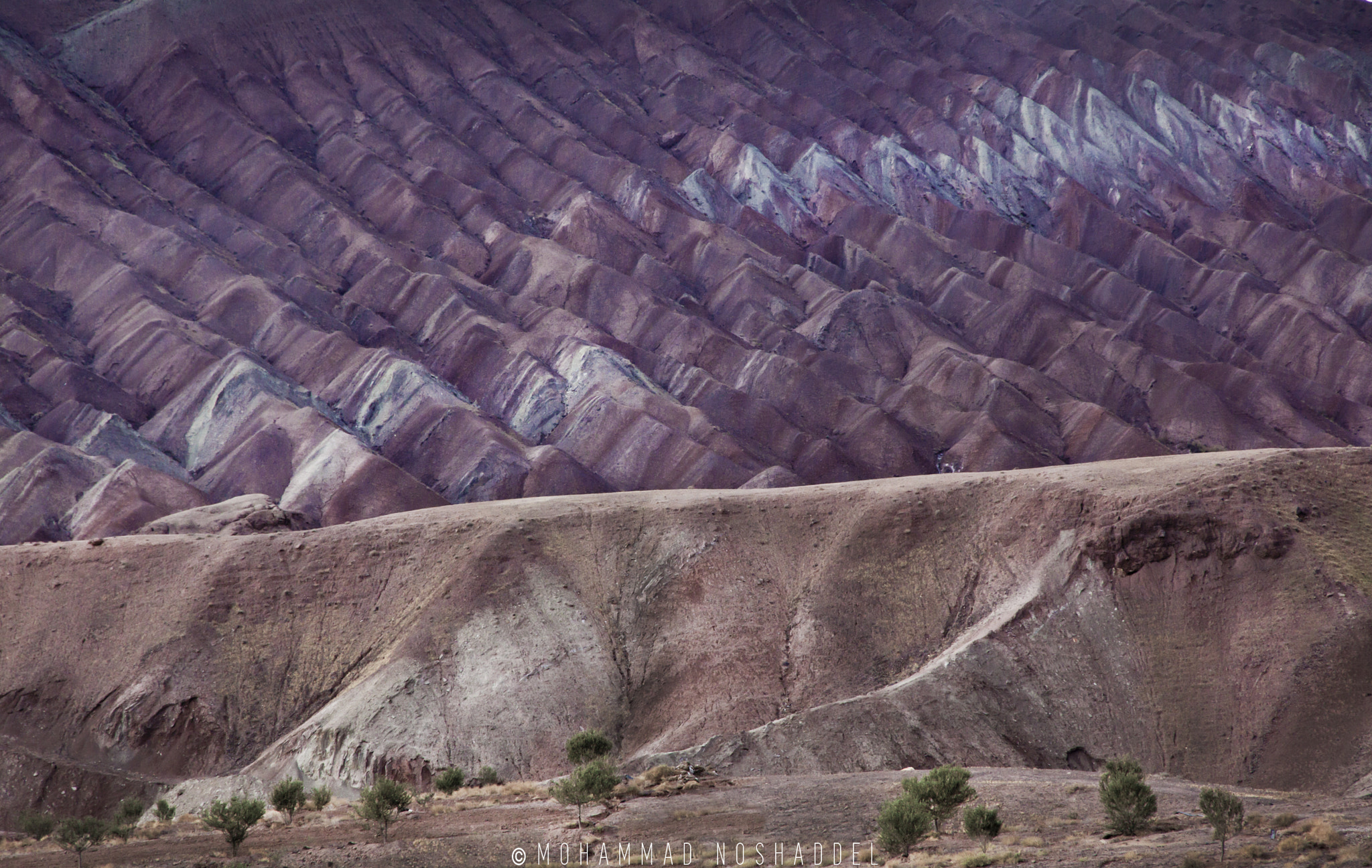 Canon EOS 50D sample photo. Violet hills photography