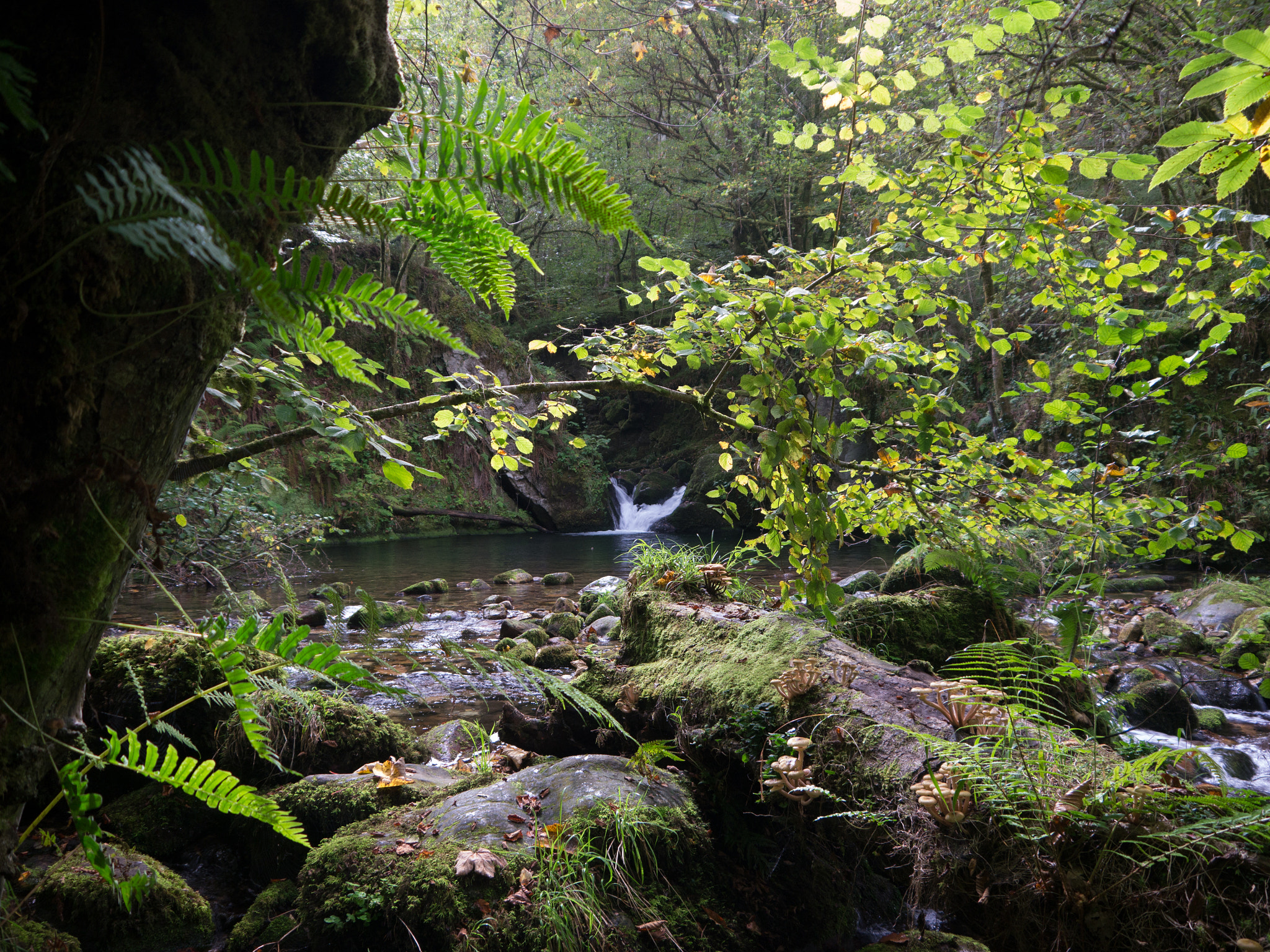 Panasonic Lumix DMC-GH2 sample photo. Hidden paradise photography