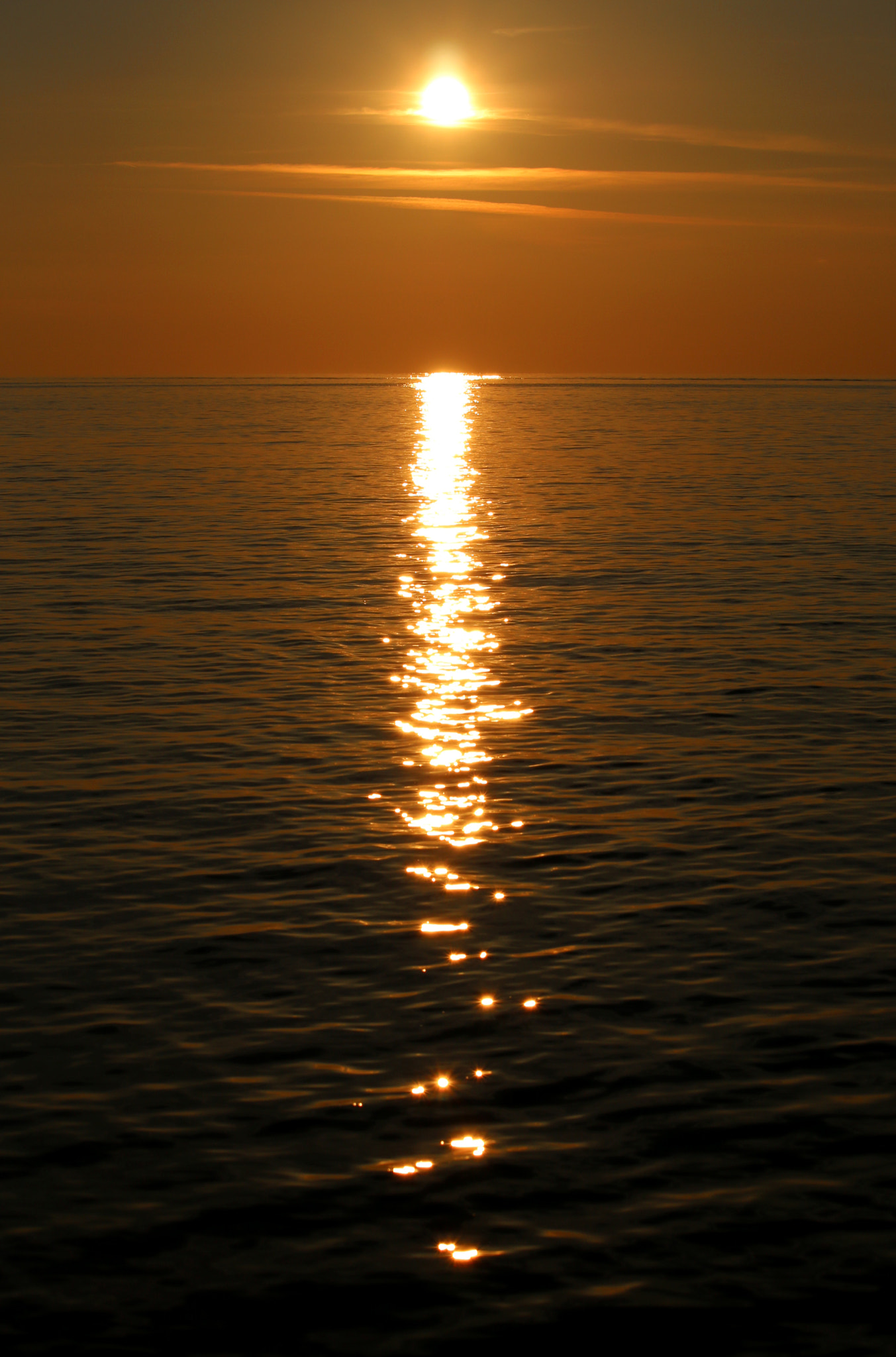 Canon EF-S 55-250mm F4-5.6 IS STM sample photo. Calabria photography