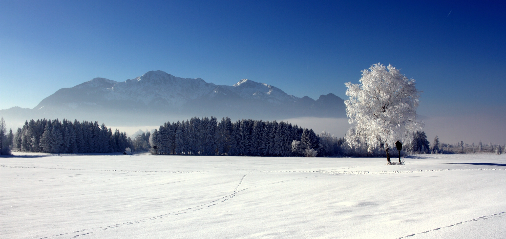Canon EOS 7D + Canon EF-S 24mm F2.8 STM sample photo. A winter's tale #3 photography