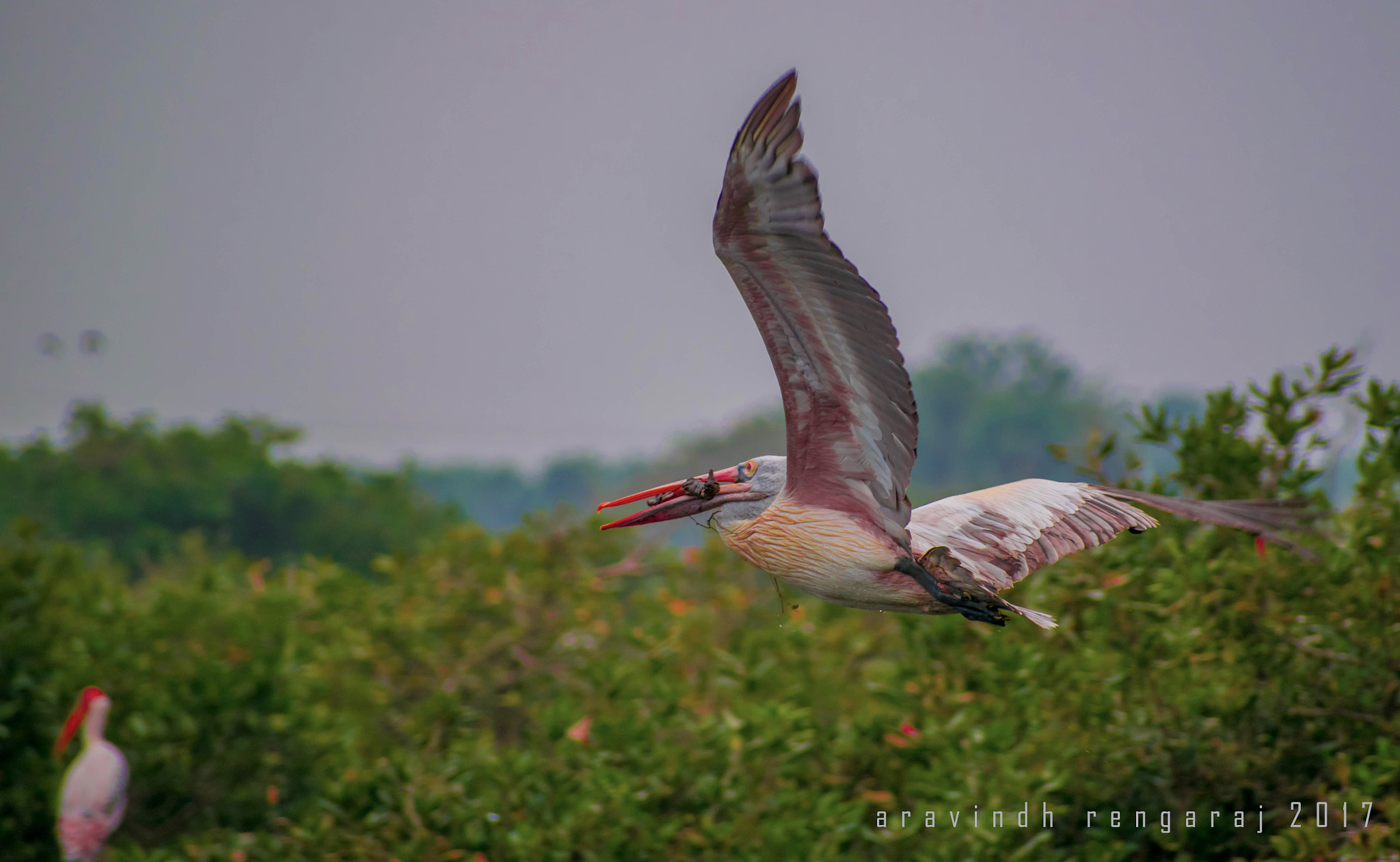 Nikon D5300 + Sigma 70-300mm F4-5.6 DG OS sample photo. Building home sweet home  photography