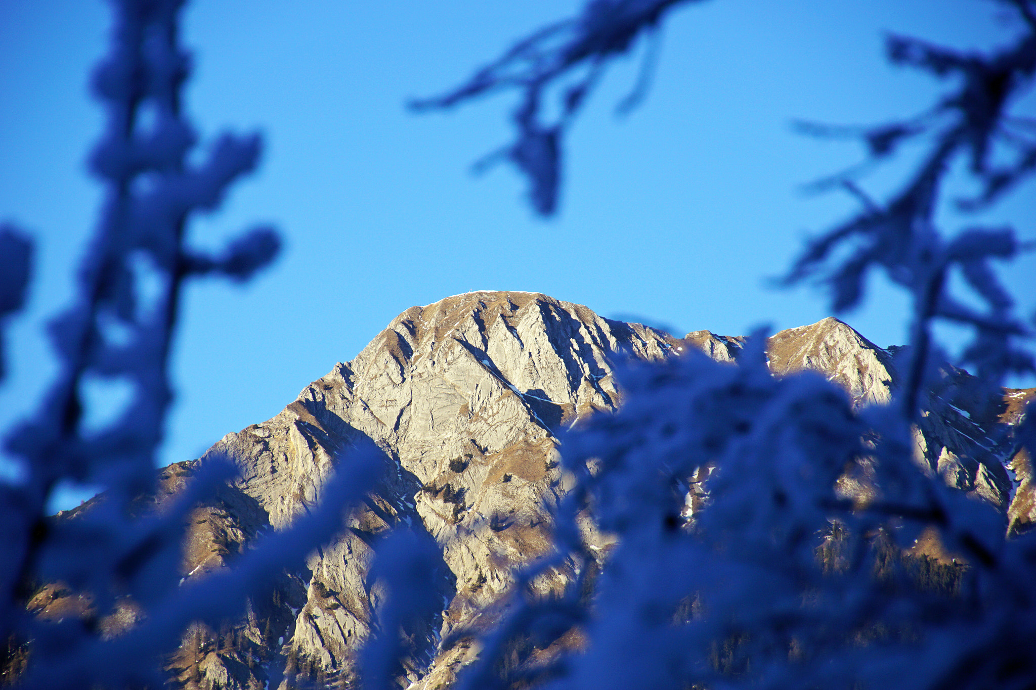 Tamron 16-300mm F3.5-6.3 Di II VC PZD Macro sample photo. Hausberg photography
