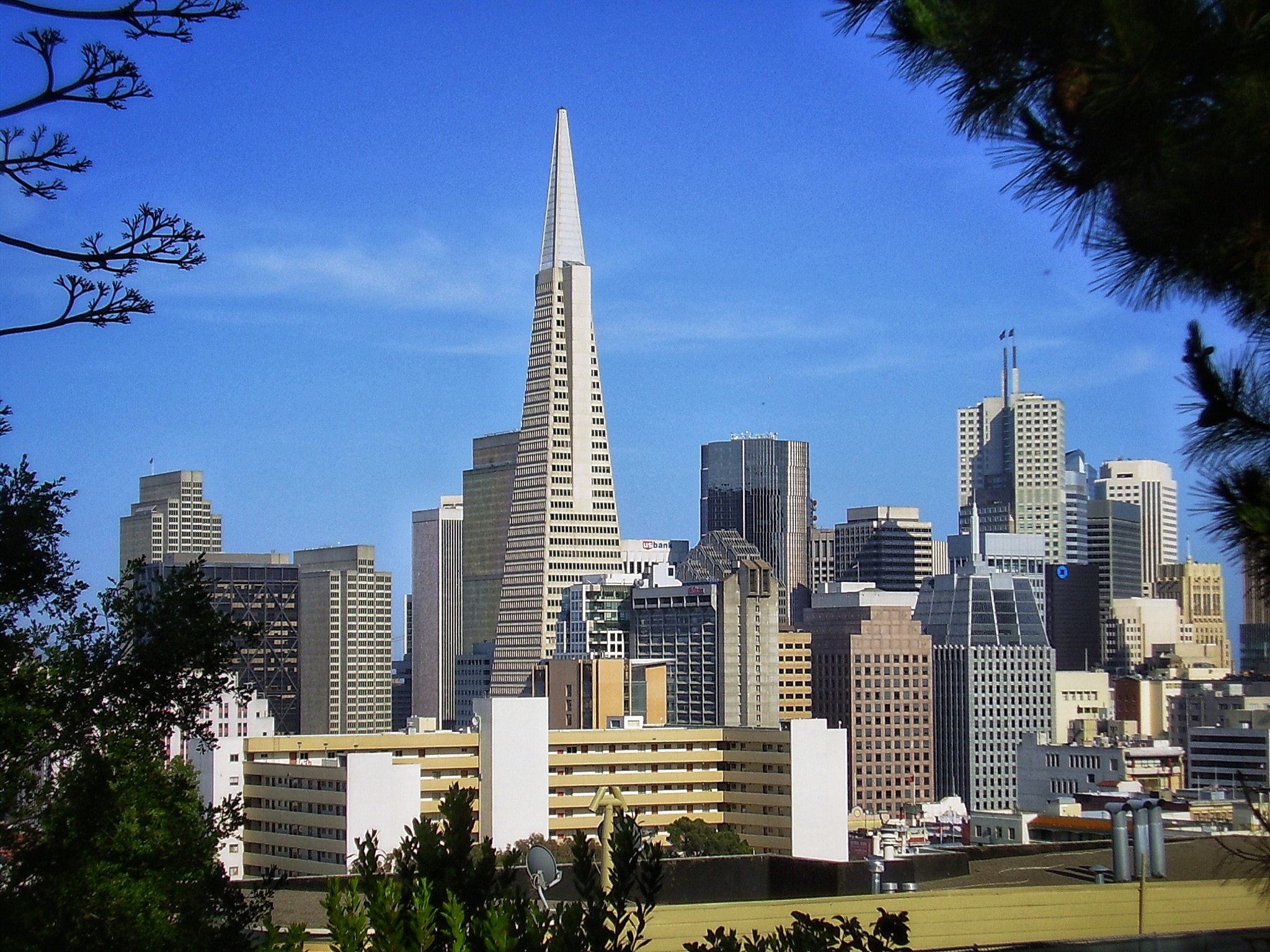Olympus X450,D535Z,C370Z sample photo. San francisco photography