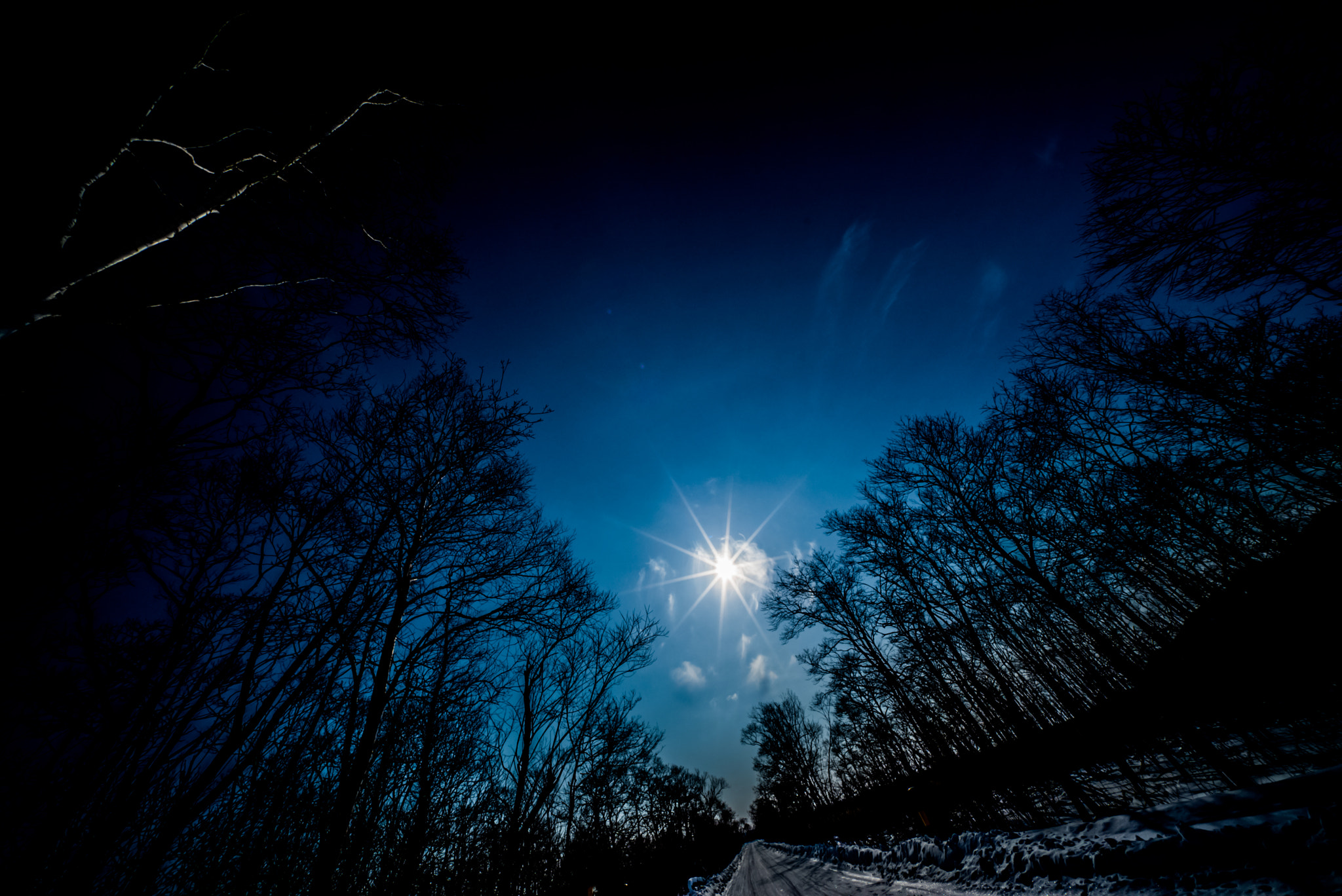 Voigtlander HELIAR-HYPER WIDE 10mm F5.6 sample photo. Winter sky! photography