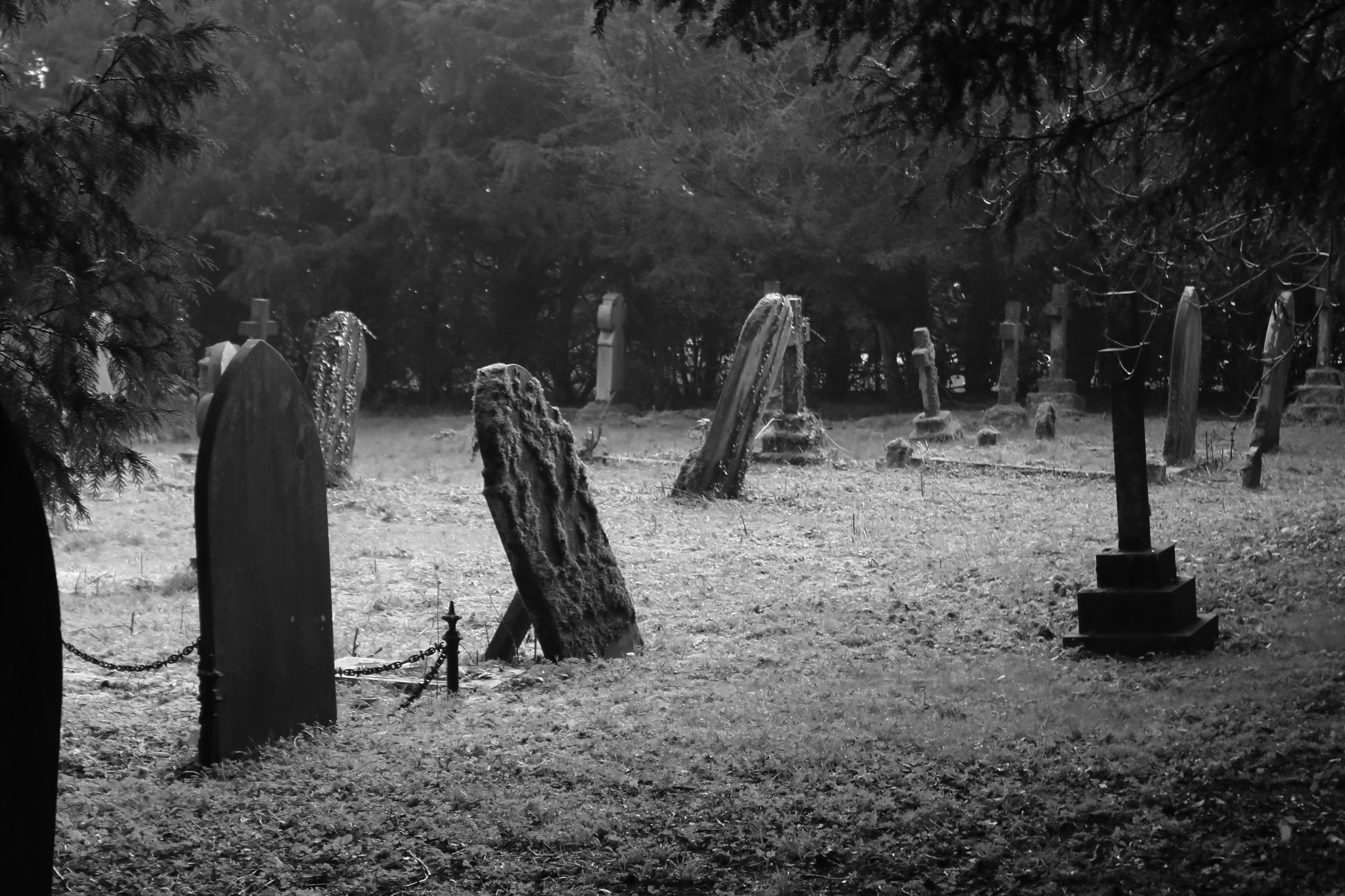 Canon EF-S 18-55mm F3.5-5.6 IS sample photo. Cementary photography