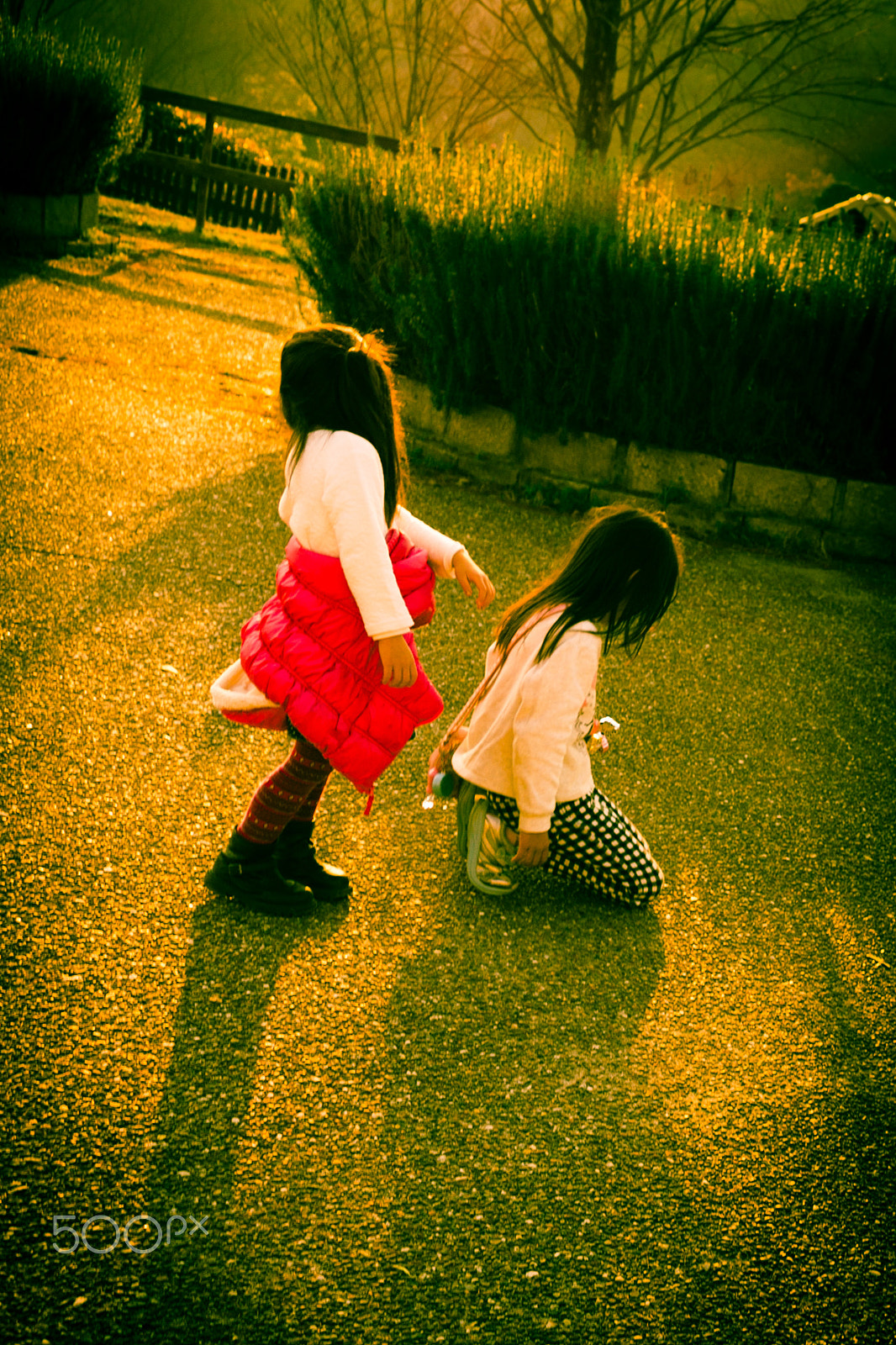 Sony SLT-A99V sample photo. Walk together photography