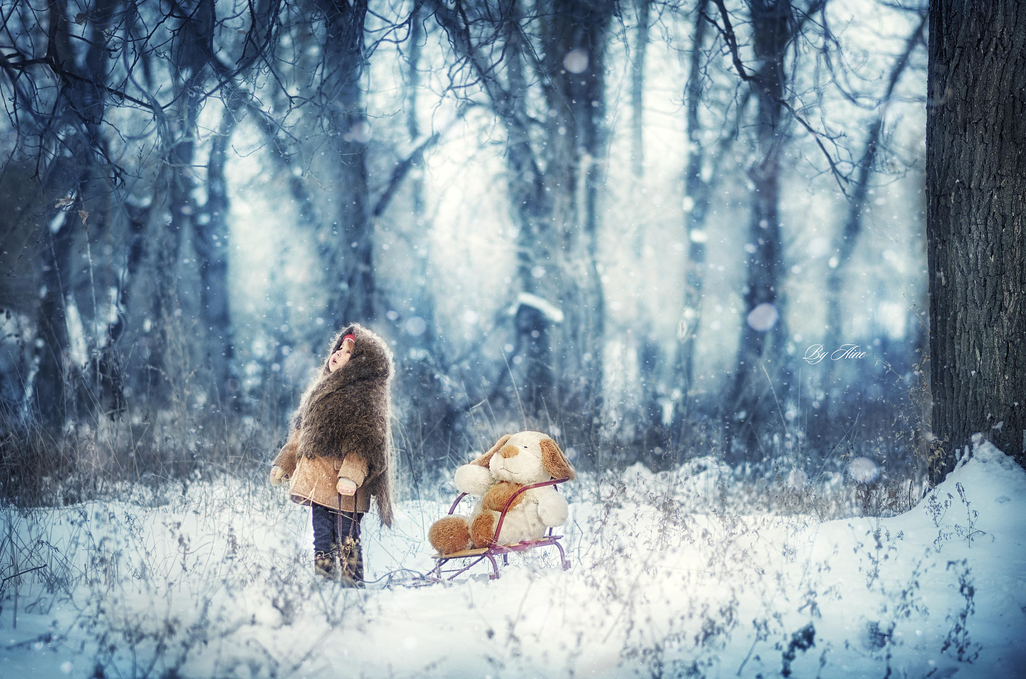 Nikon D5100 + Nikon AF-S Nikkor 85mm F1.8G sample photo. In winter forest photography