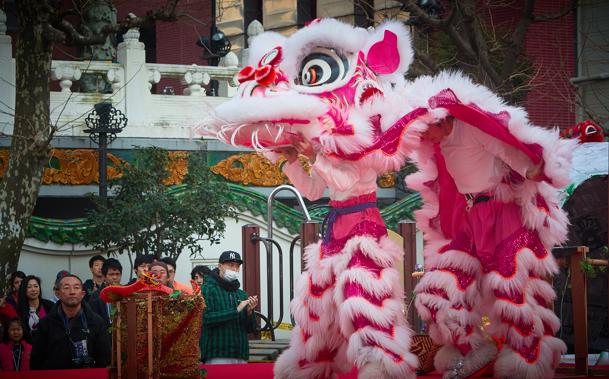 Canon EF 70-200mm F2.8L IS USM sample photo. Chinese new year photography