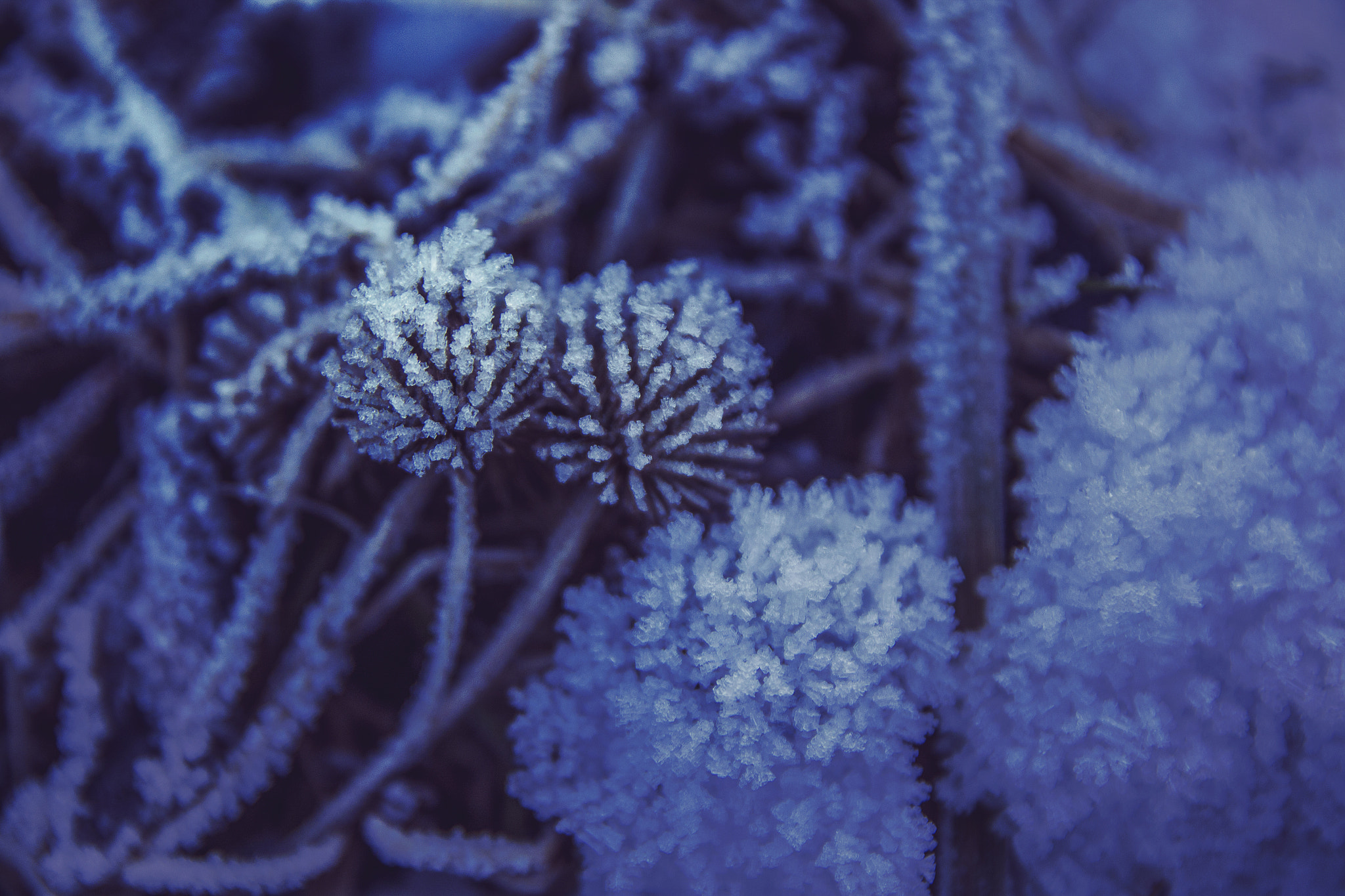 Canon EF-S 17-55mm F2.8 IS USM sample photo. Icy photography
