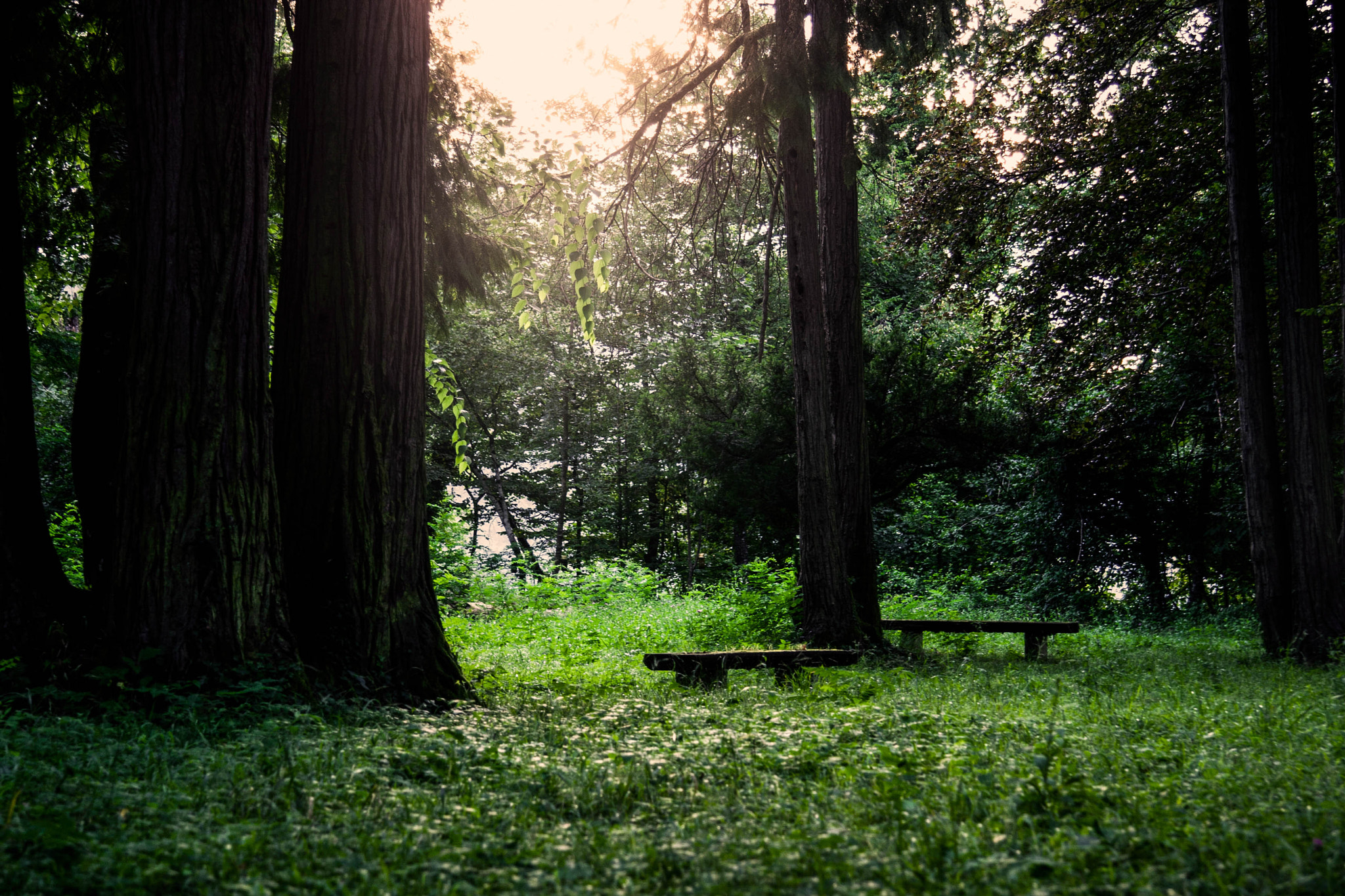 Canon EF-S 17-85mm F4-5.6 IS USM sample photo. Benches photography