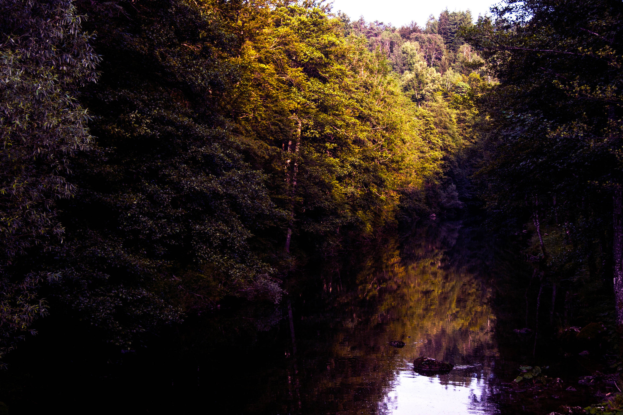 Canon EF-S 17-85mm F4-5.6 IS USM sample photo. Dfr photography