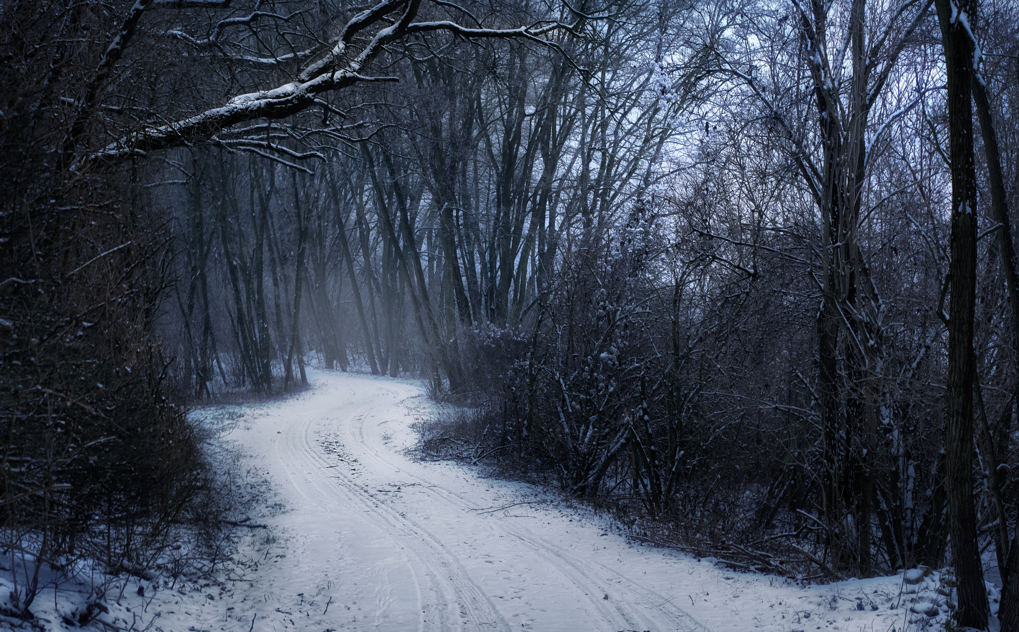 Nikon D7100 + Nikon AF Nikkor 50mm F1.4D sample photo. Winter walk photography