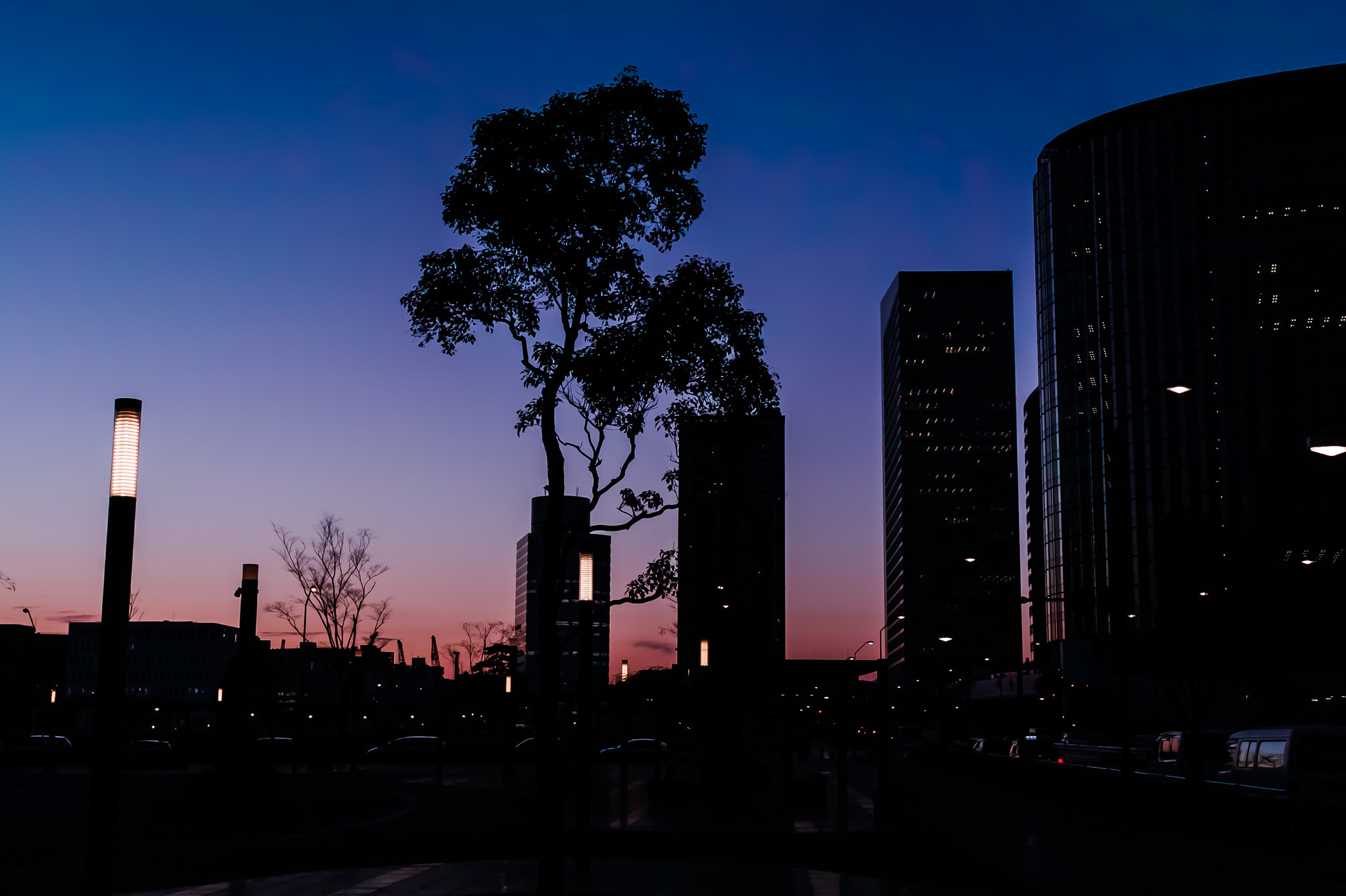 Sigma sd Quattro H sample photo. Let's go home! it is! photography