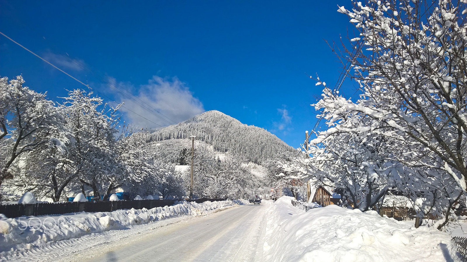 Nokia Lumia 1520 sample photo. Winter in synevyr photography