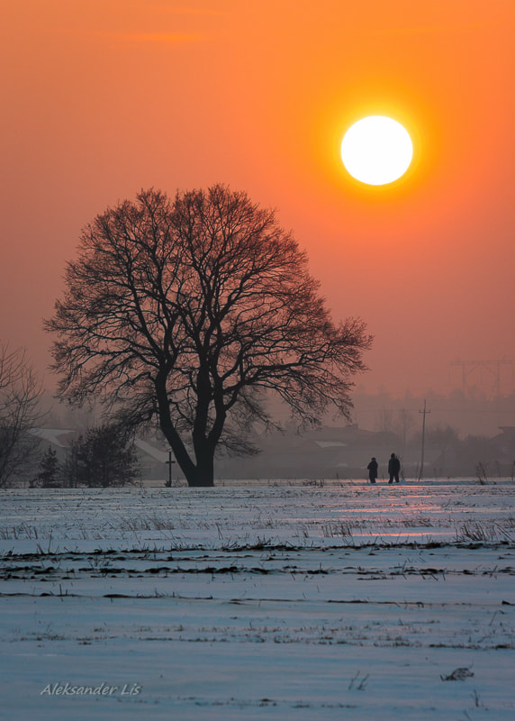 Canon EF-S 55-250mm F4-5.6 IS sample photo. Winter walk photography