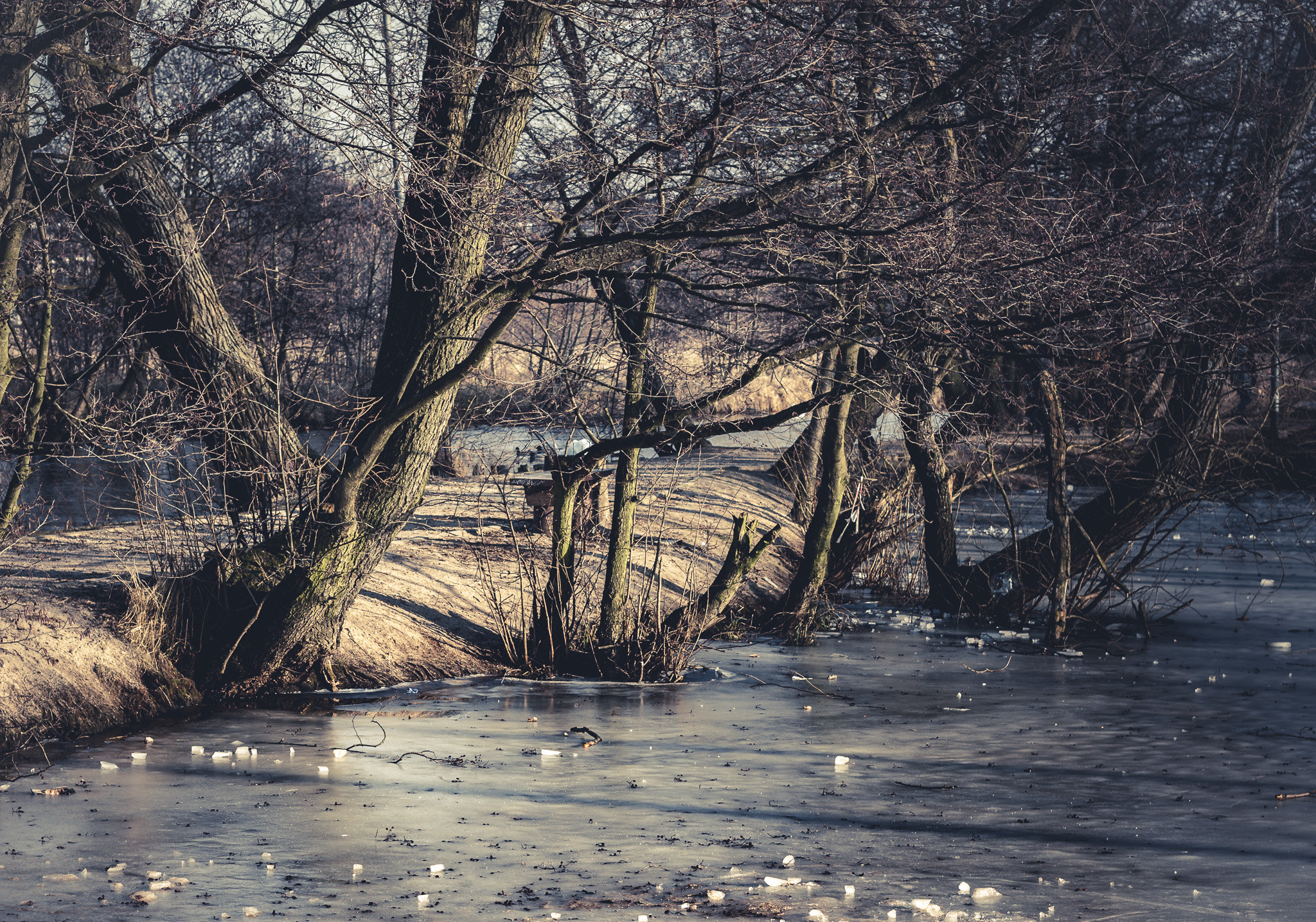 Canon EOS 500D (EOS Rebel T1i / EOS Kiss X3) + Canon EF 50mm F1.8 STM sample photo. Ice river photography